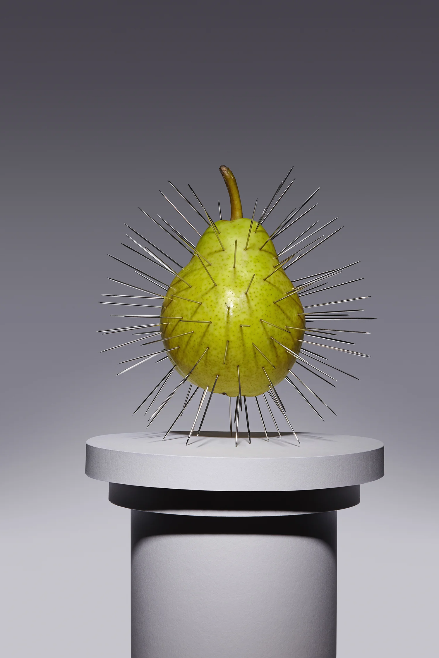 Pear2.jpg