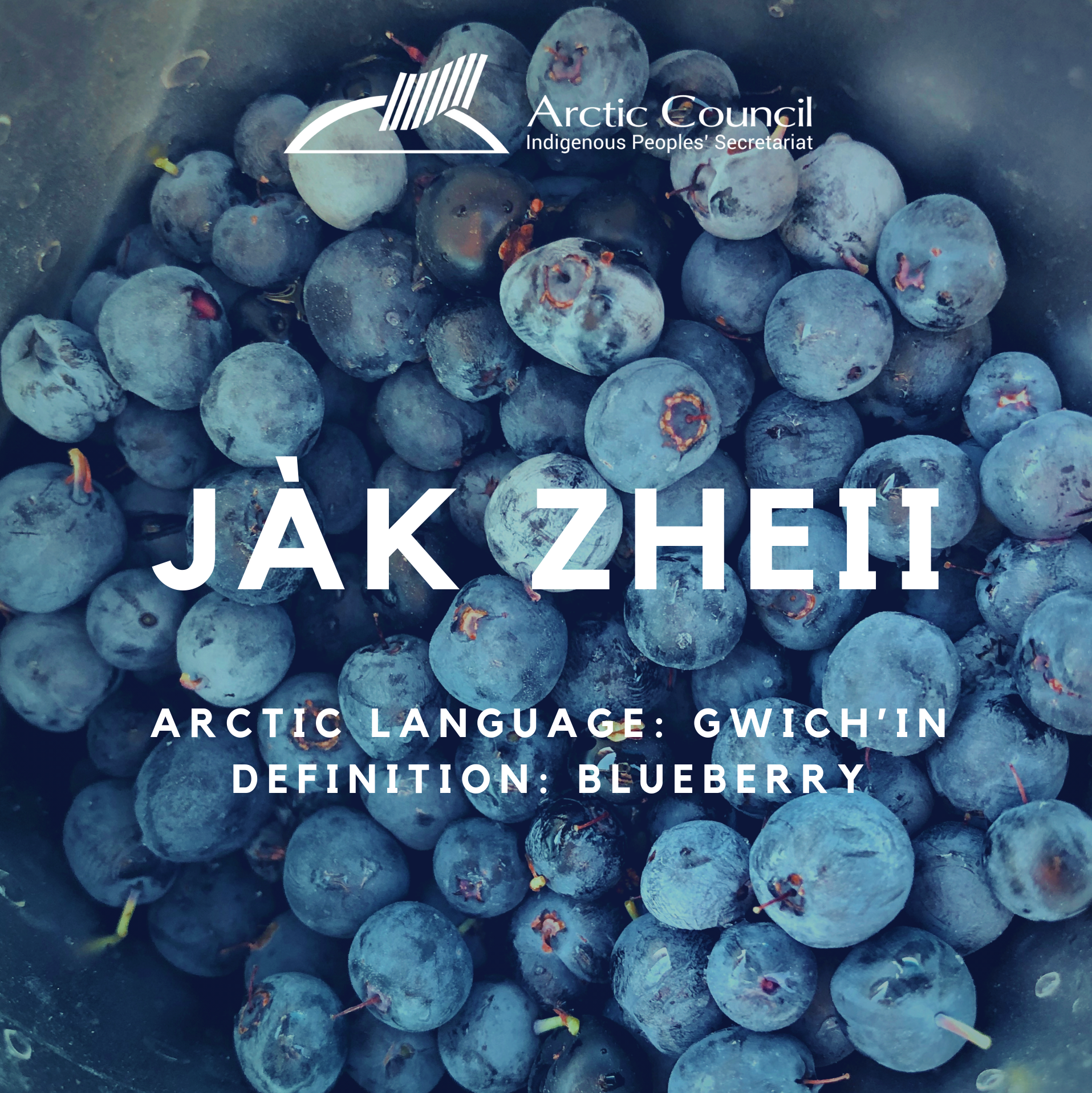 Arctic Indigenous Languages — Indigenous Peoples' Secretariat