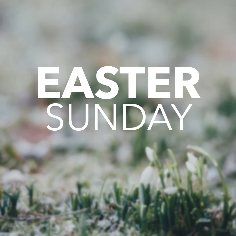 Easter 2018 800x800.jpg