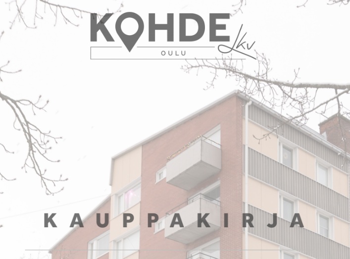 Na%CC%88ytto%CC%88kuva+2019-3-13+kello+16.27.13.jpg