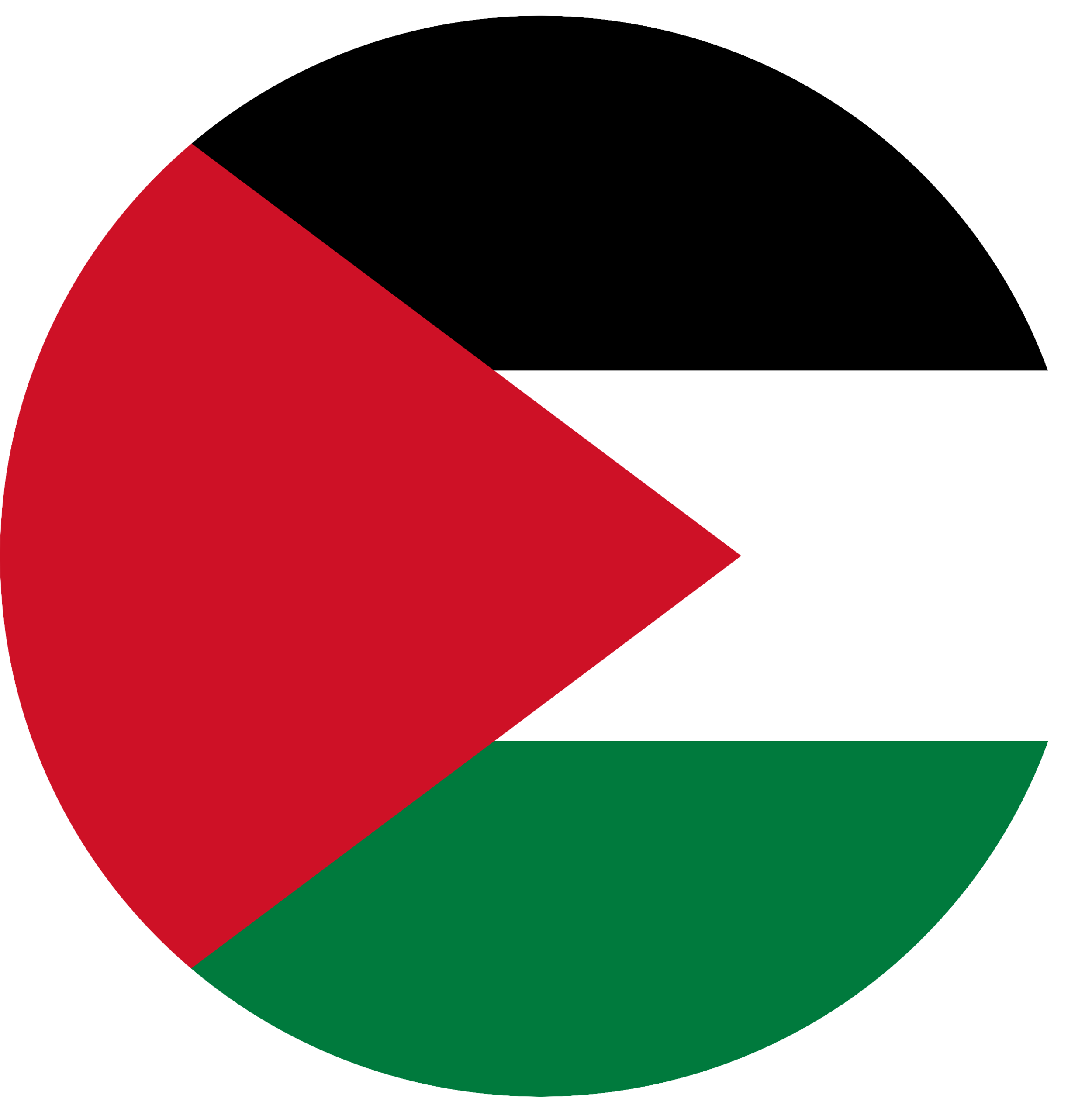Copy of Palestinian Territories