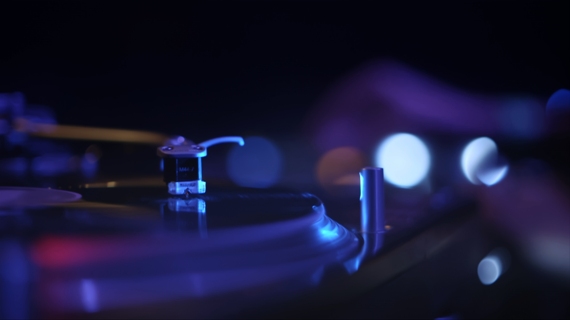 Niddle & Vinyl.png