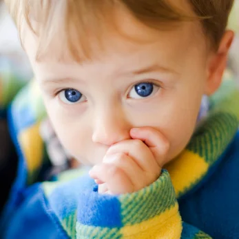 iStock_000003791324XSmall.jpg