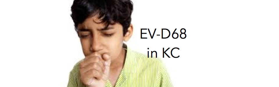 EVd681.png