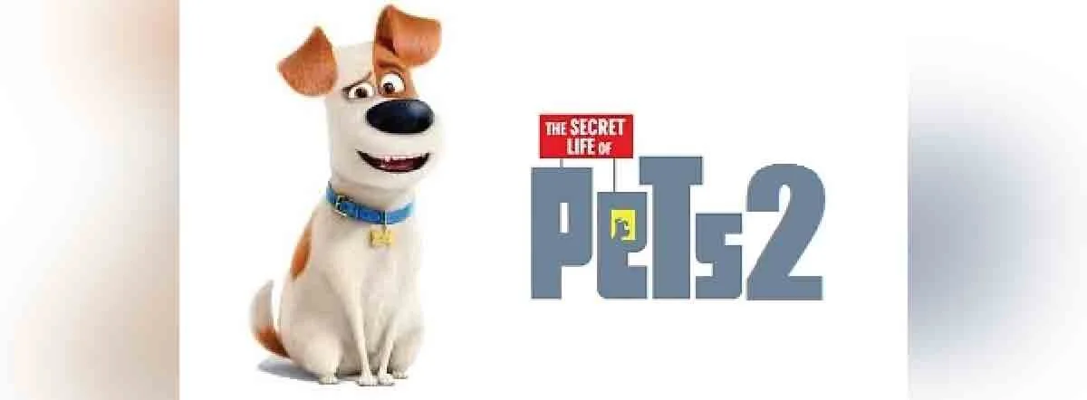 Family Afternoon Movie