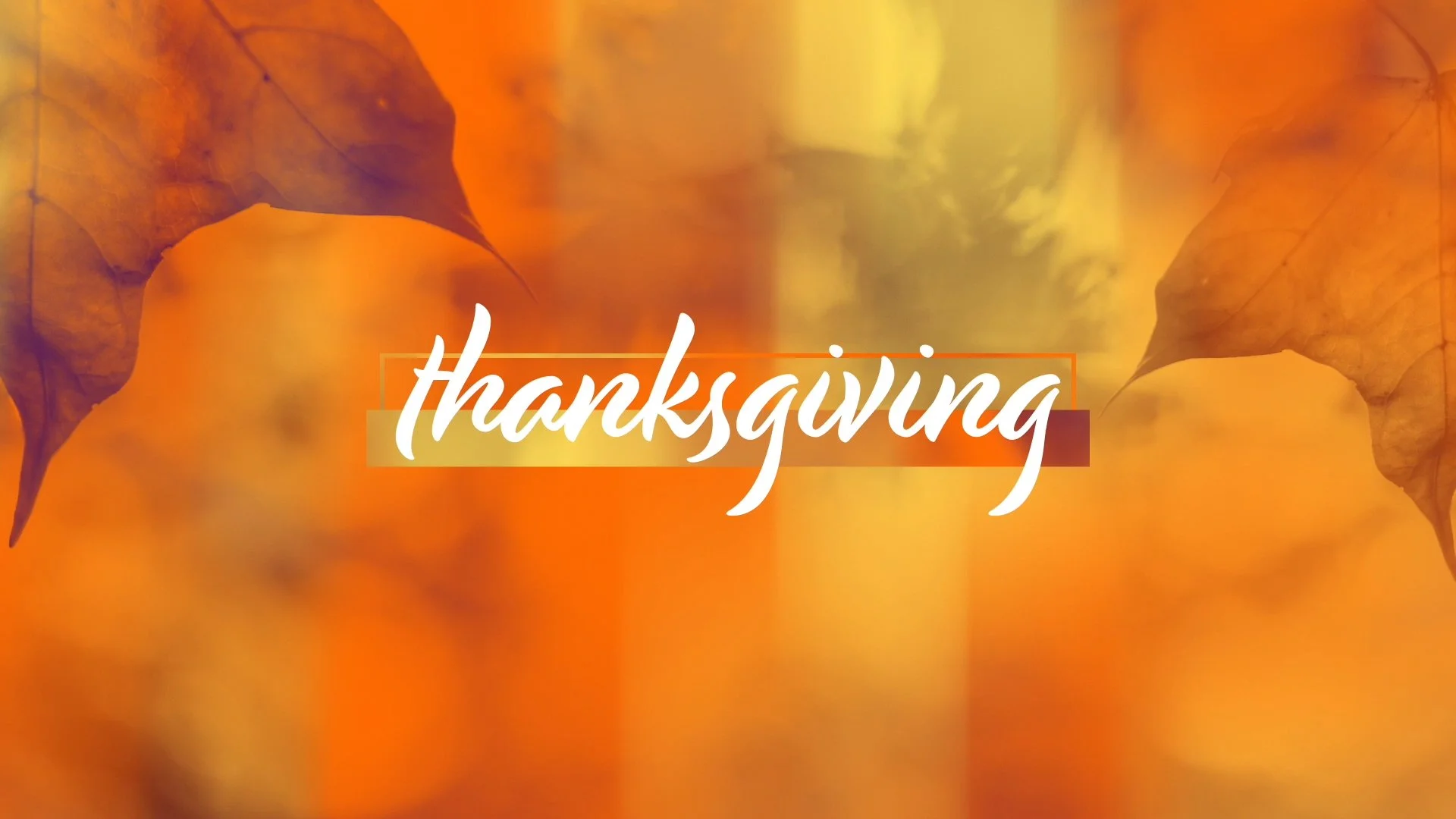 Thanksgiving Dinner