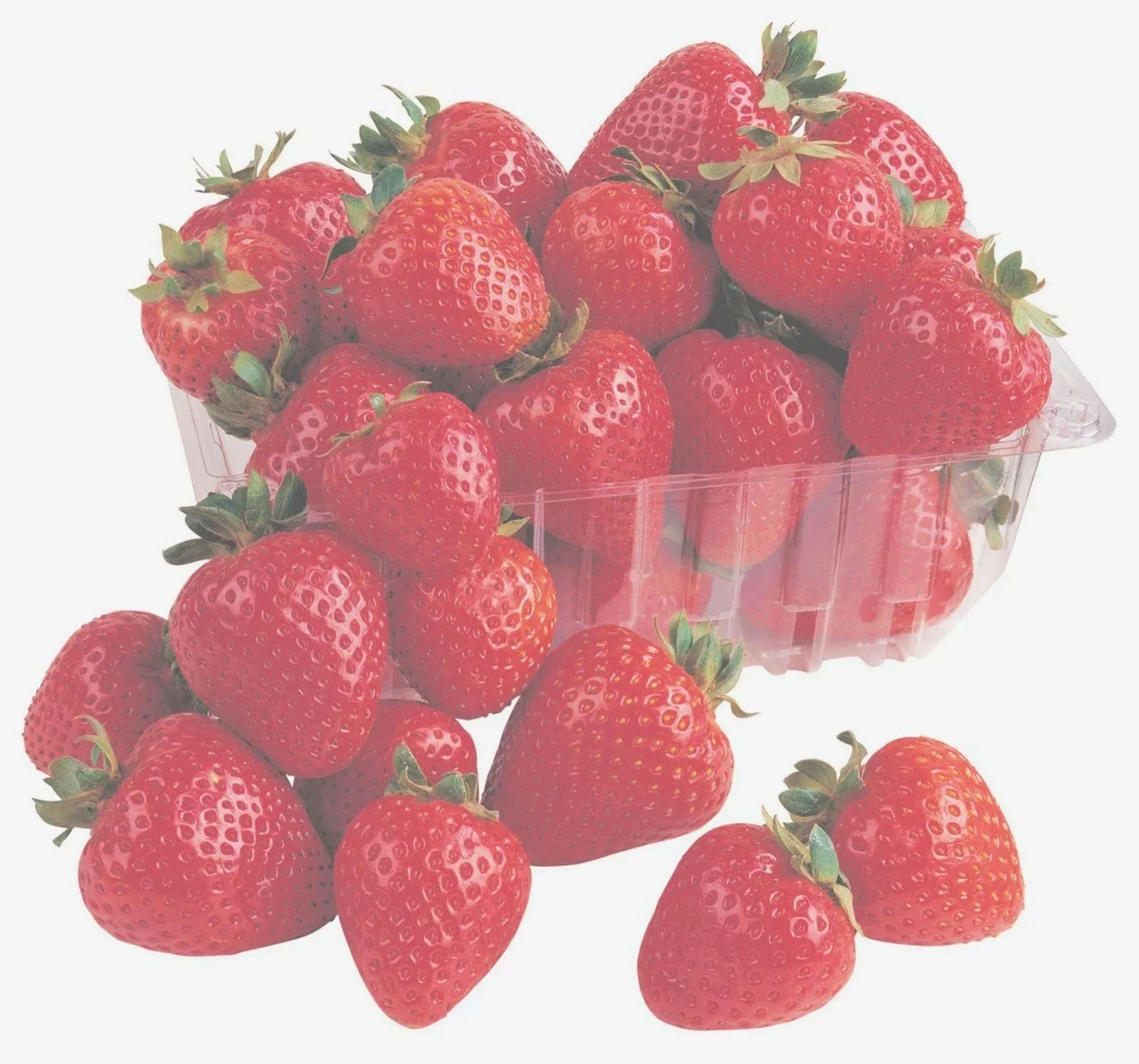 Strawberry Social