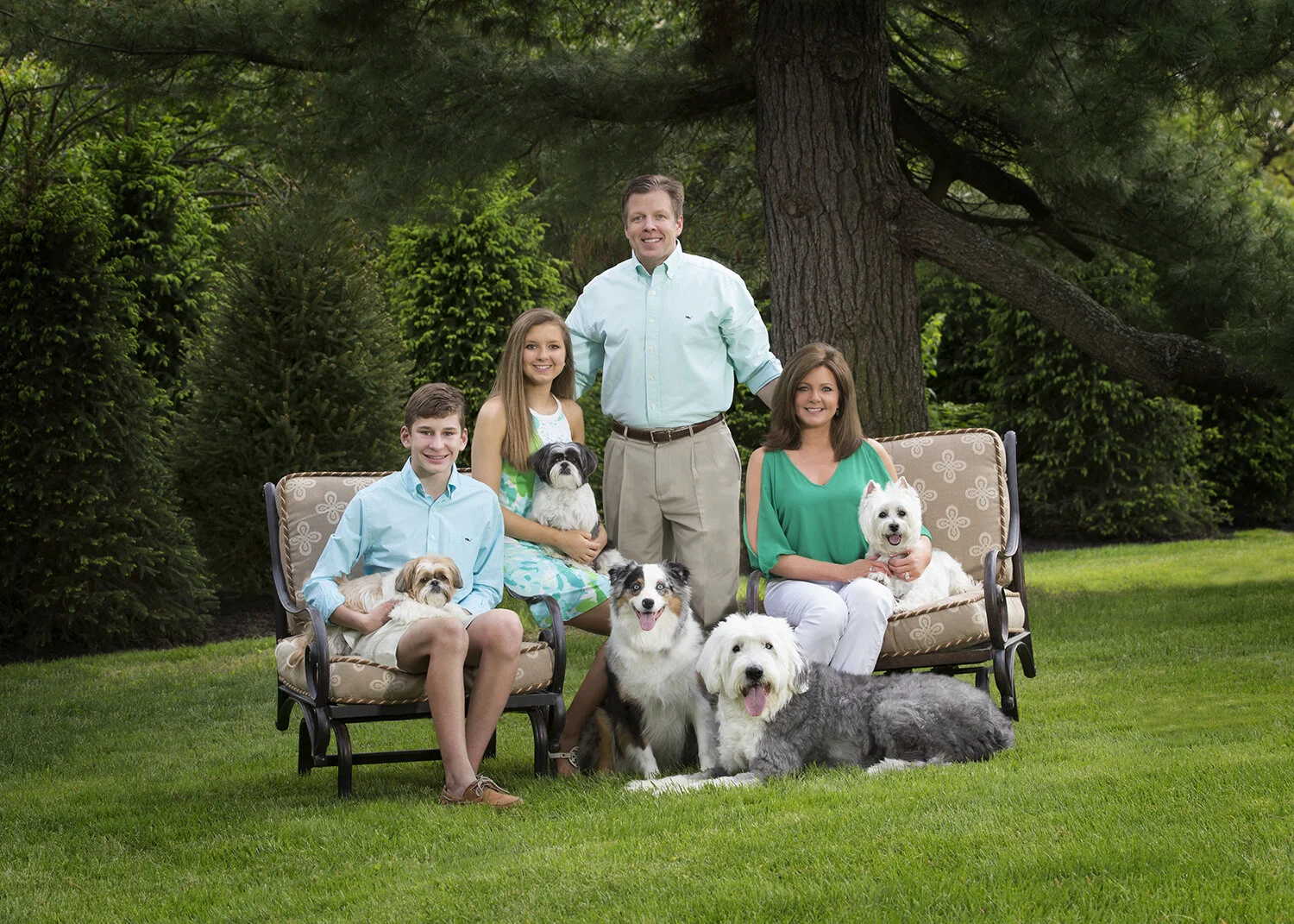 “This is new for your pet and sometimes they can be stressed by the unfamiliar surroundings,” says Colin. “Bring your patience. We always get the image we need but it sometimes takes a little time for your pet to warm up.”