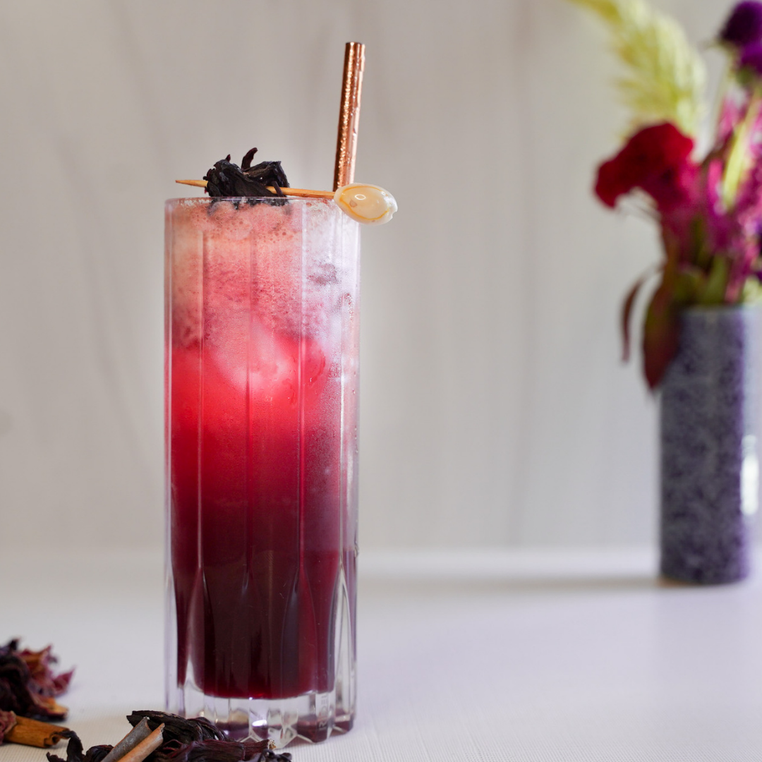 Zero Proof Recipe: Hibiscus Cooler