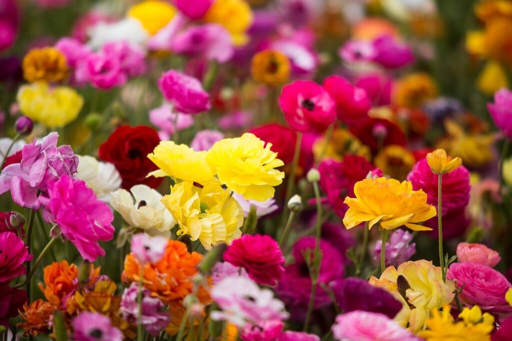 Spring Travel: Five Places To Go Now