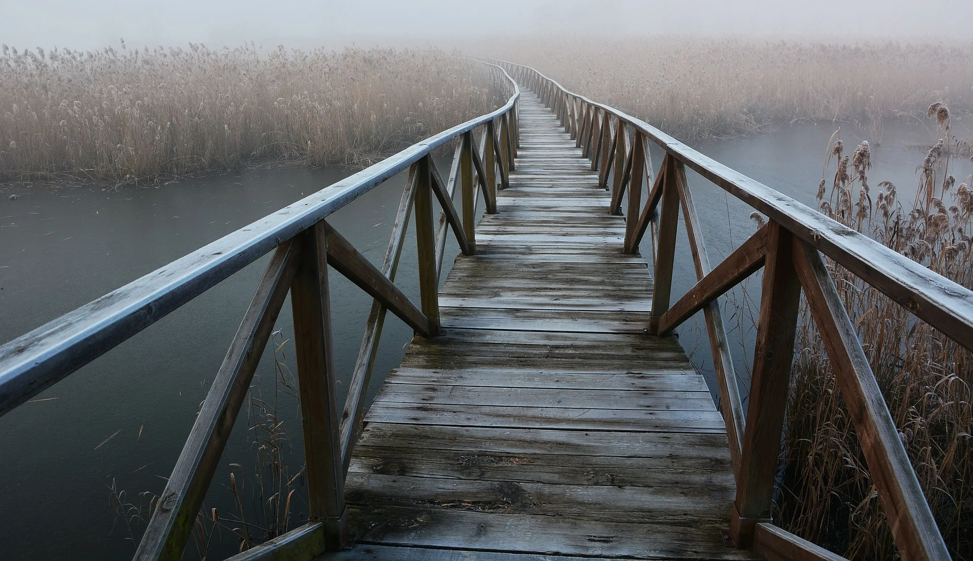 fog-1957493_1920.jpg