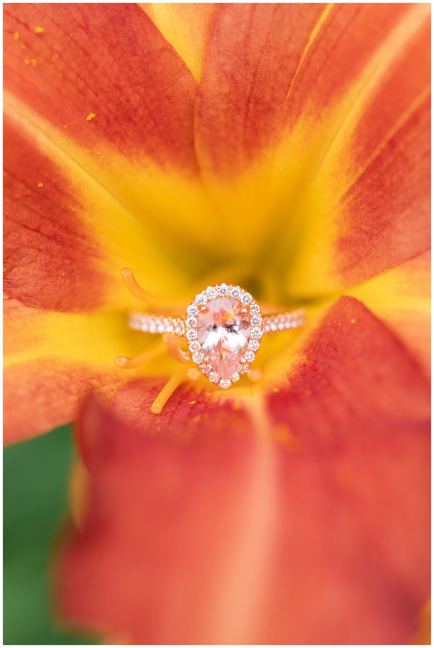 wedding ring inside red flower