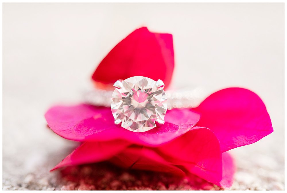 platinum engagement ring with diamond sitting on a pink rose