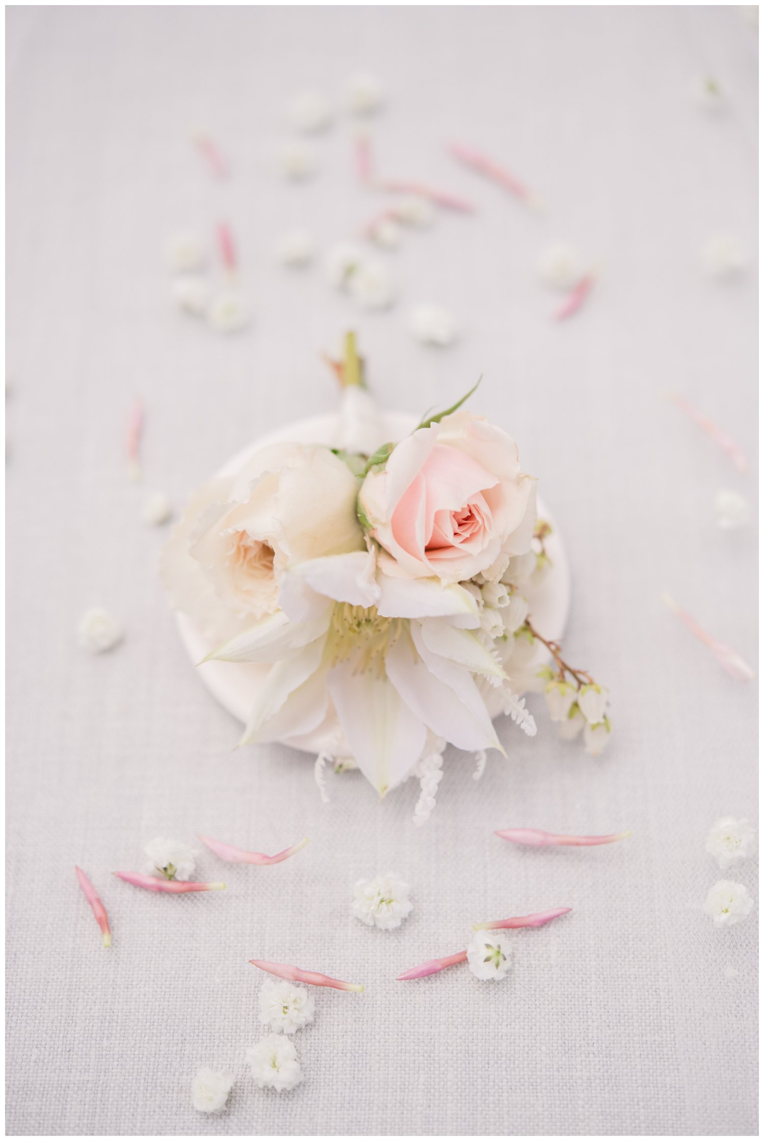 white flower surrounded by white petals flatlay