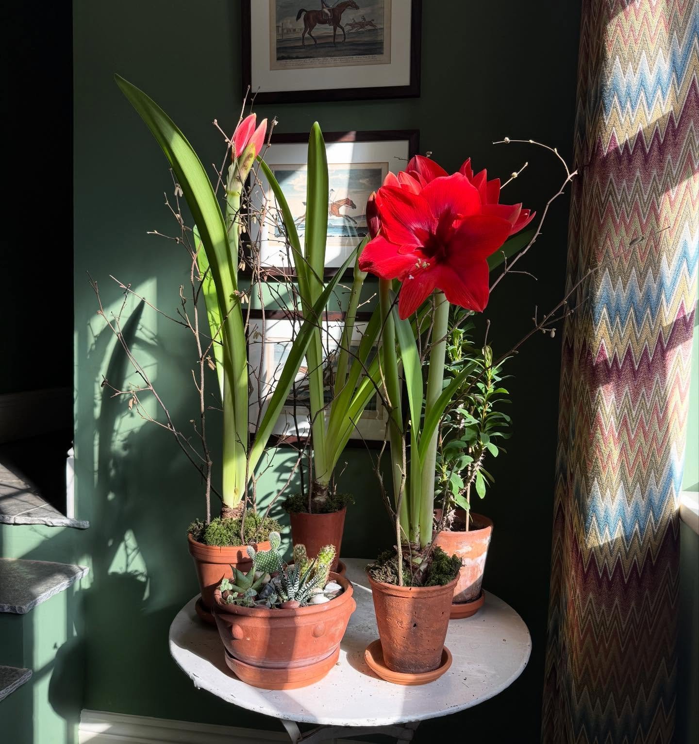 Happy Valentine&rsquo;s Day! Who can resist blazing sunshine and rich velvety amaryllis? #decoratingwithflowers #interiorstyle #designinspᴏ #interiorsaddict #howwedwell