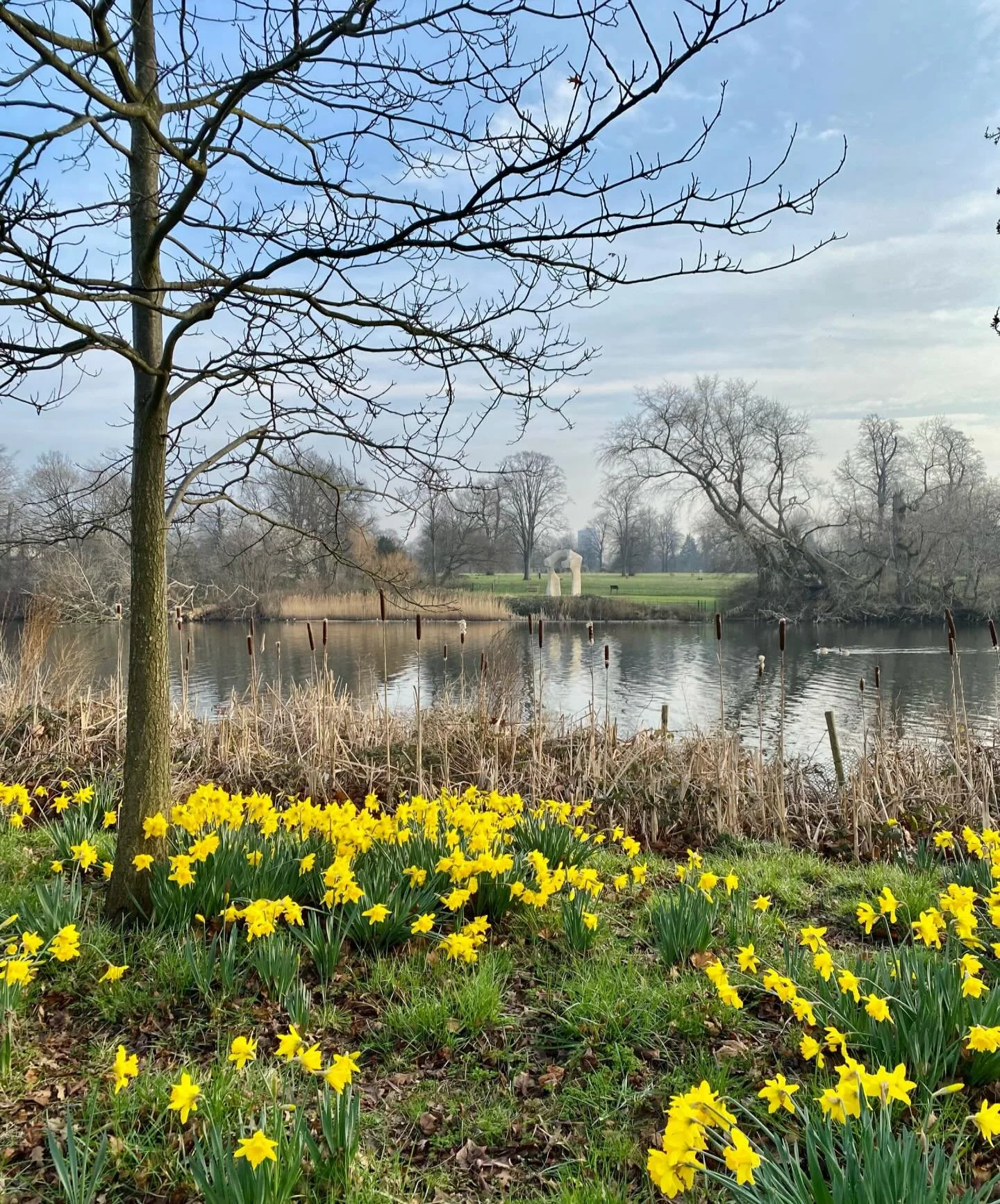 Daily dose of Henry Moore.  #sculpture #londonlife #henrymoore #dailyart #hydepark