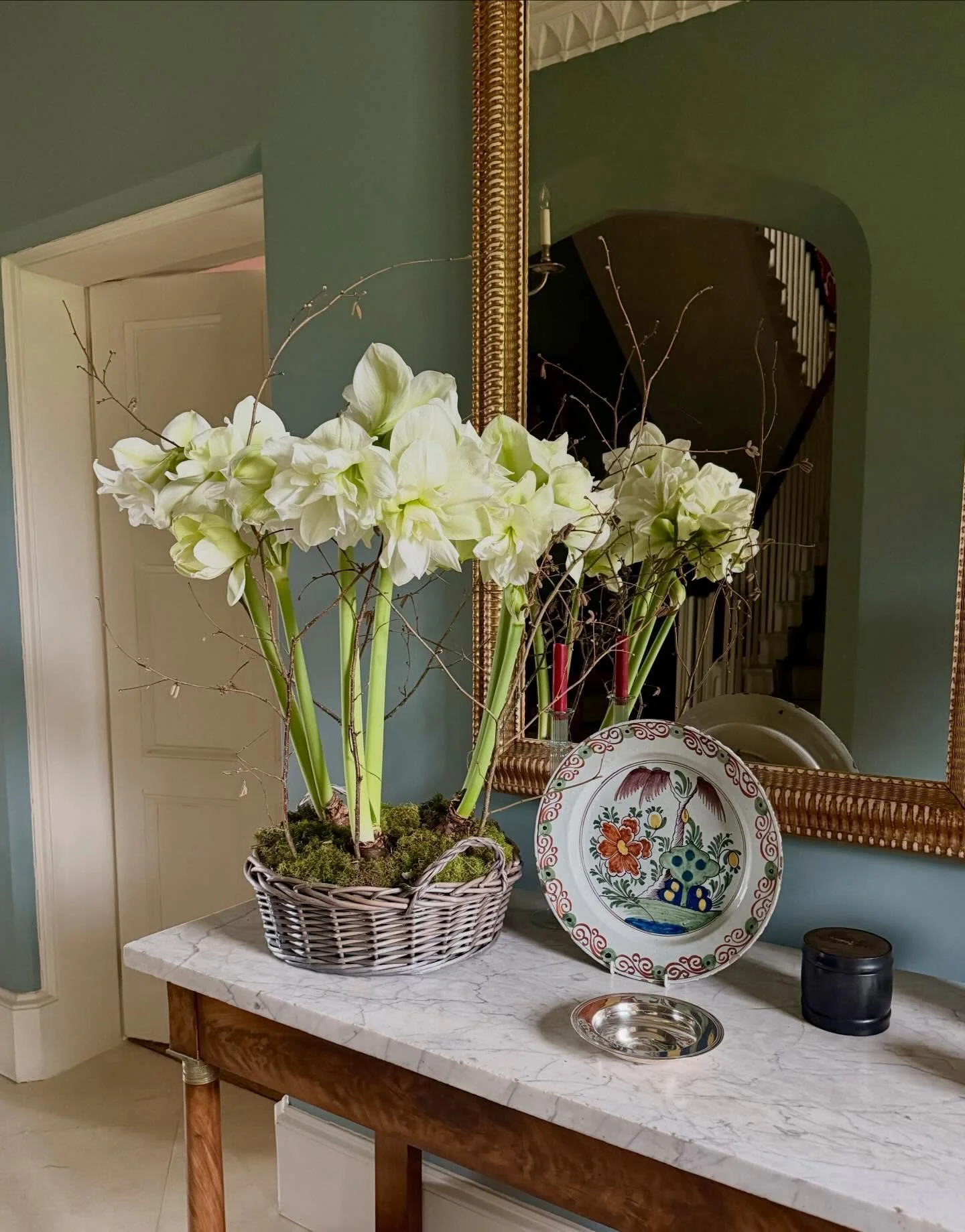 Blockbuster blooms. #amaryllis #decoratingwithflowers #interiorstyling #halldecor #countryhousestyle