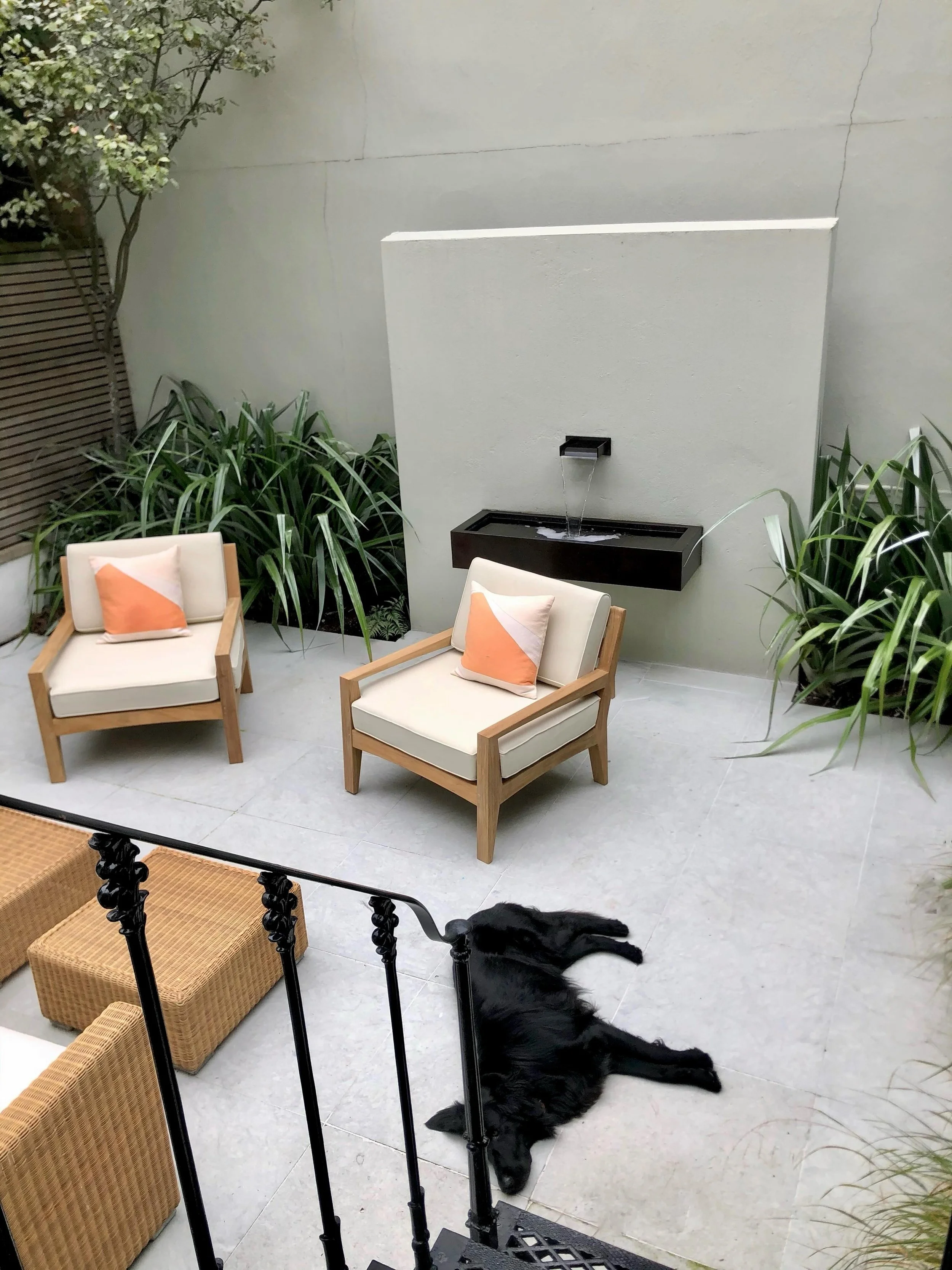 The studio assistant taking a break.  #londonlife #londoninteriordesigner #gardendesign #flatcoatedretriever #flatcoat