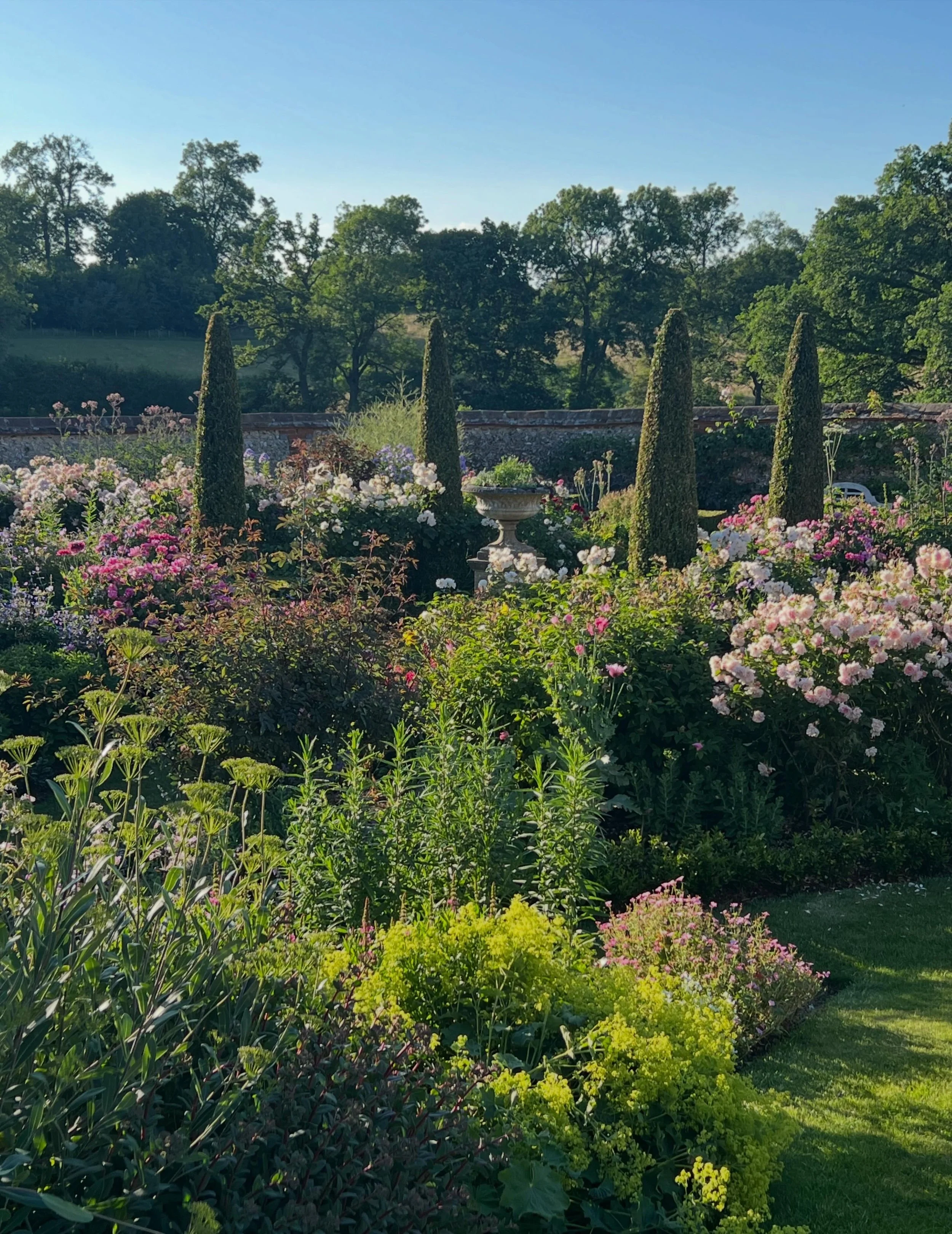 Midsummer blooms. So enjoyable to share the house and garden with others, especially when they are wonderfully knowledgeable and enthusiastic. Thanks @historic_houses for helping to raise money for @nationalgardenscheme - one of the country&rsquo;s b