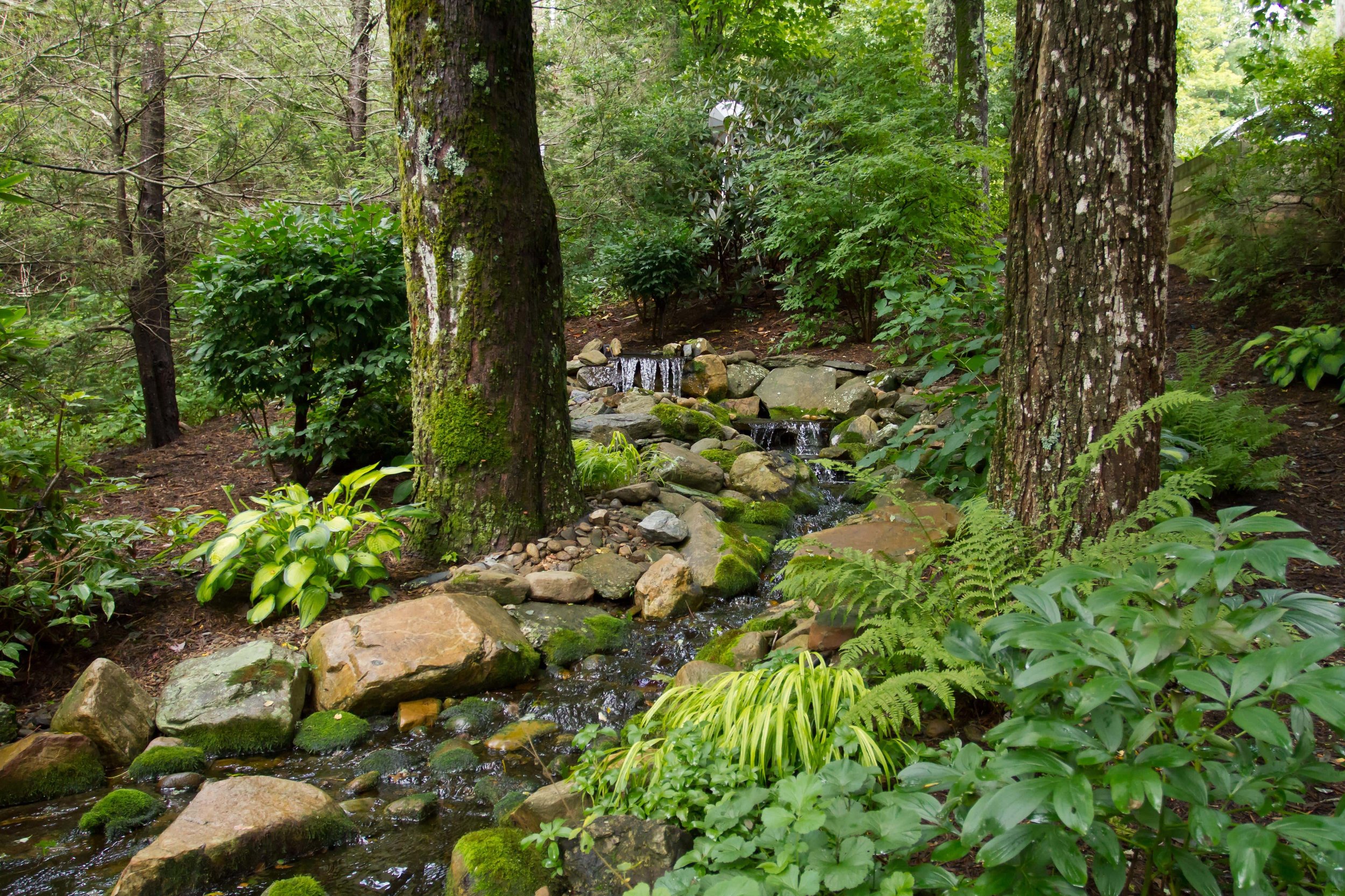 water-features-installation-maintenance-high-country-nc-boone-wrens-nest-landscape.jpg