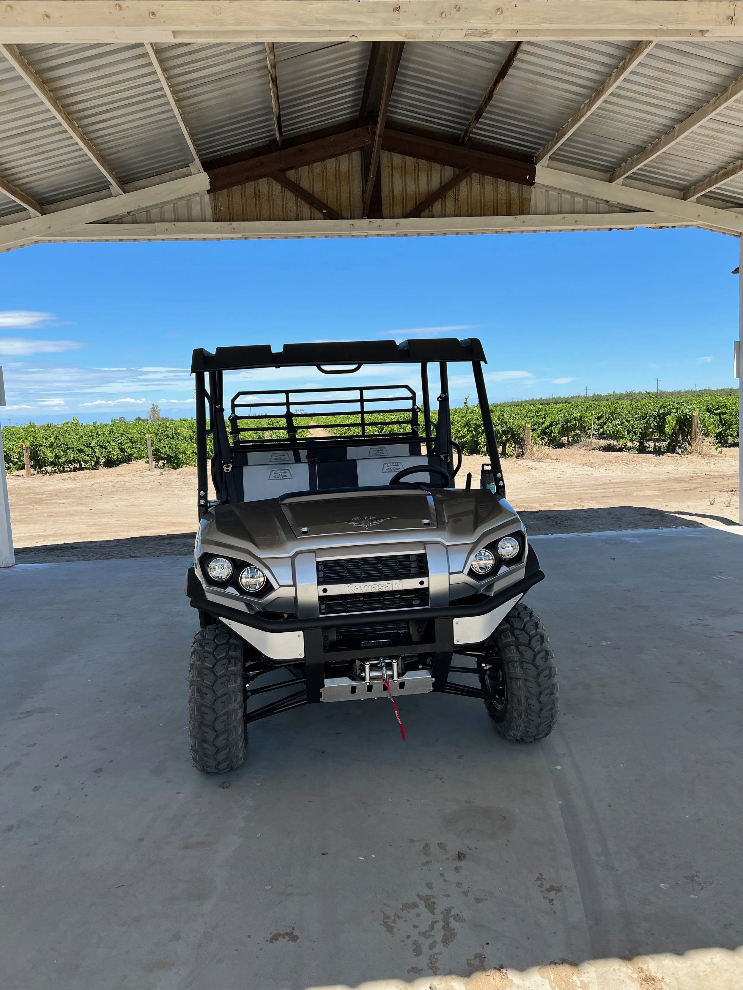 Ranch Mule under Barn