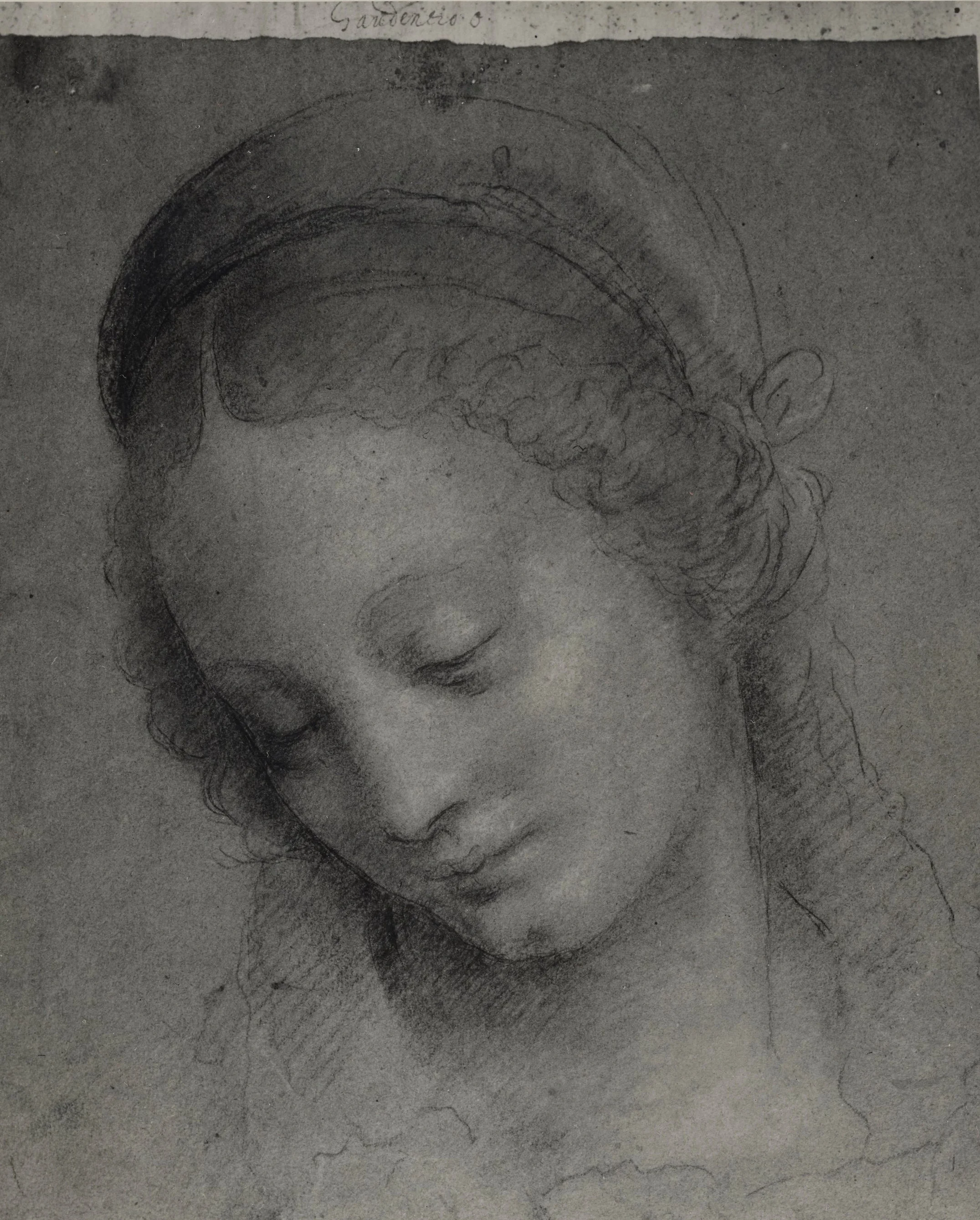 Fig. 1. Bernardino Lanino, Head of a Virgin , black, white, and yellow chalk on blue paper, 11 2/5 x 9 4/5 inches (29 x 25 cm), private collection, Santa Barbara