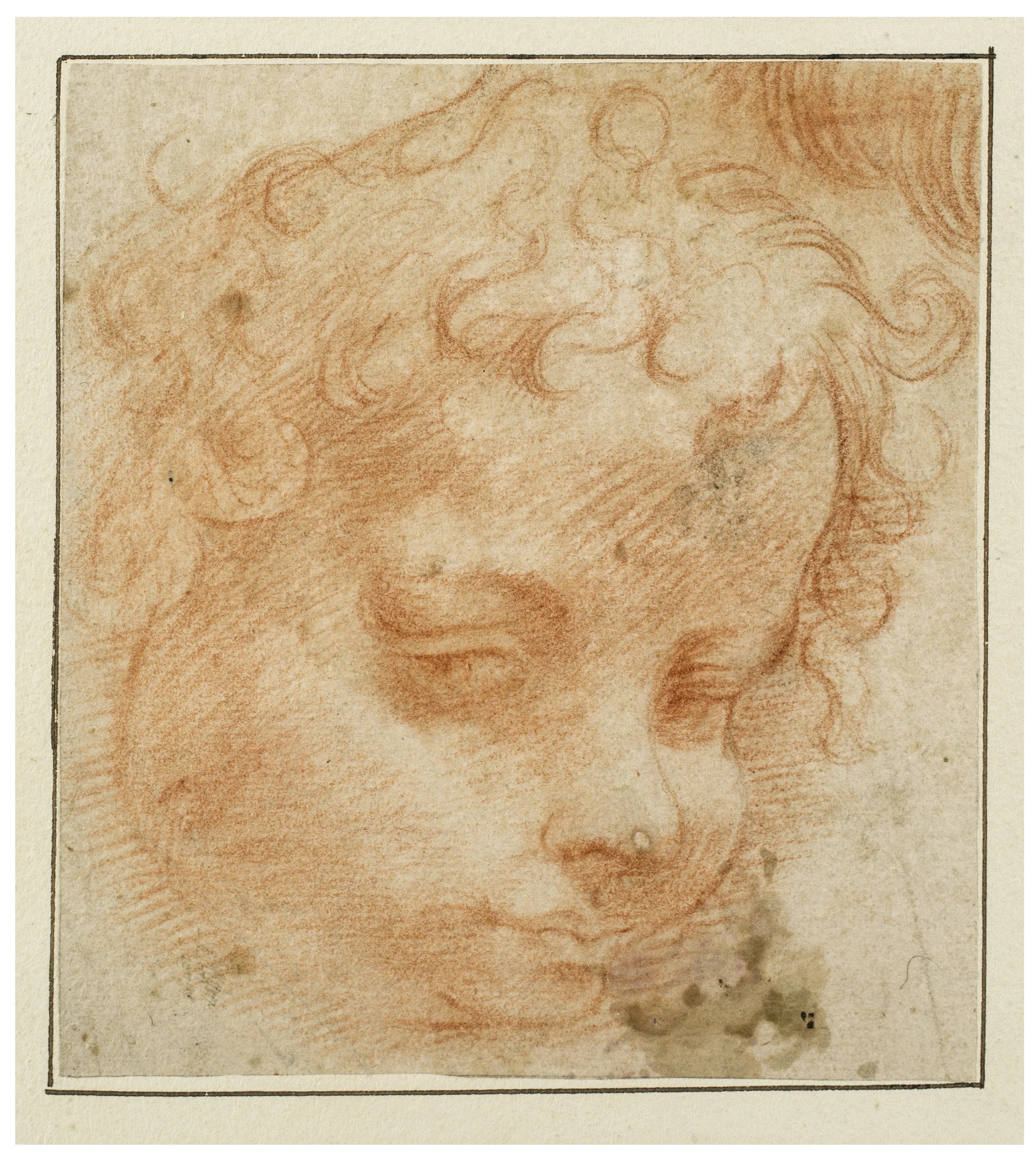 Michelangelo Anselmi, Head of a Putto