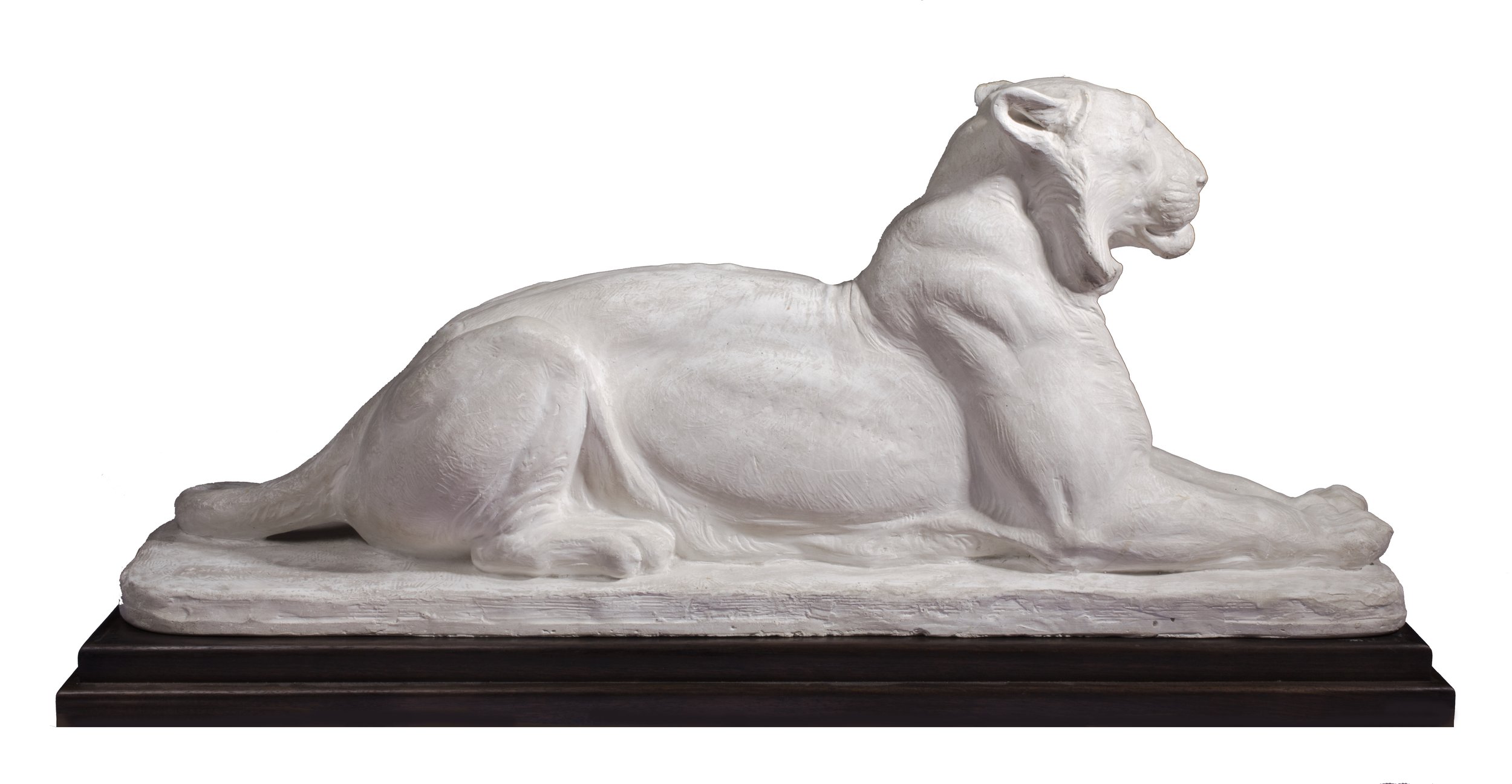 Knight, Charles R. - Princeton Tiger View 2 with shadow.jpg