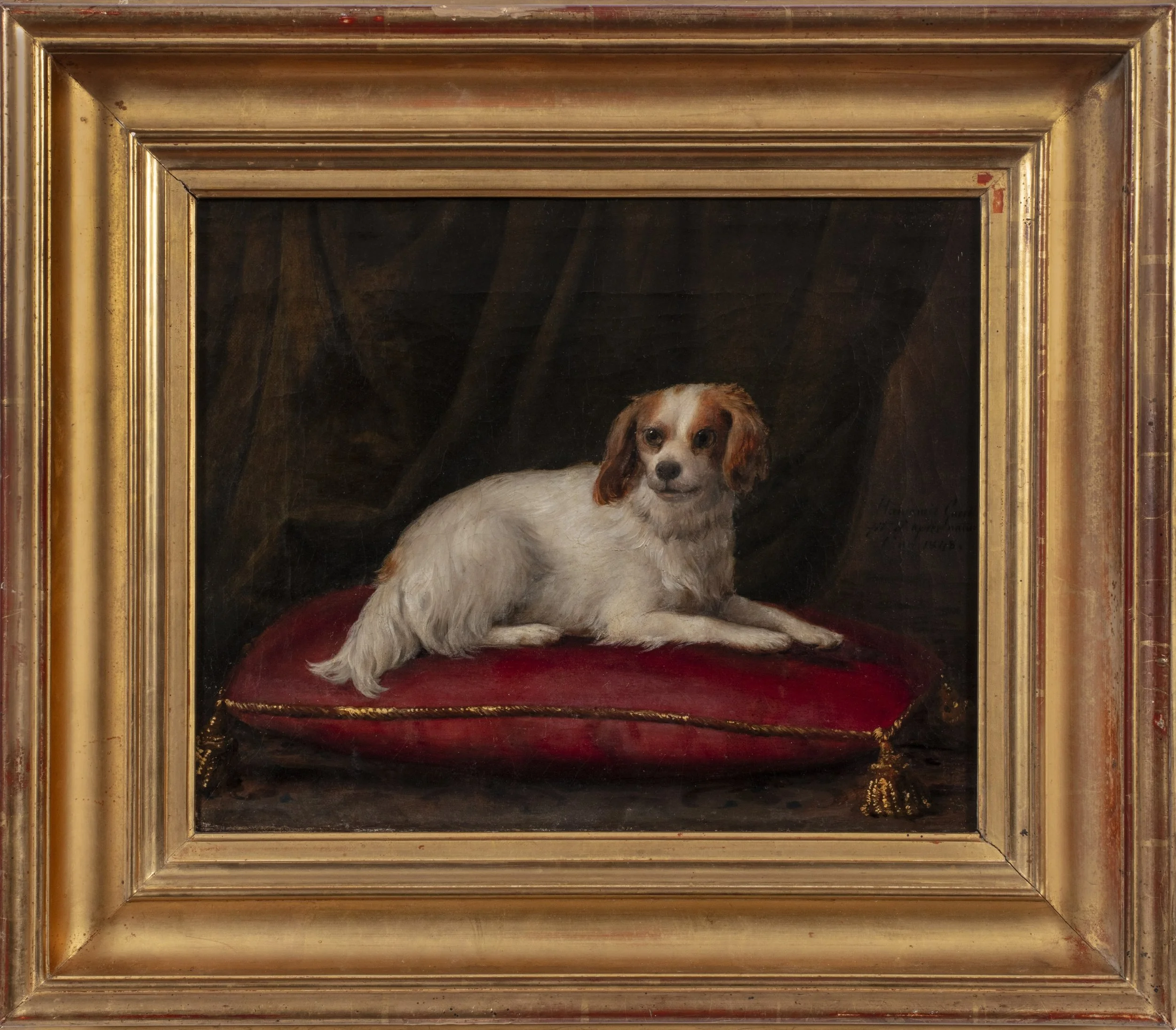 White dog with brown spots laying on a red cushion.