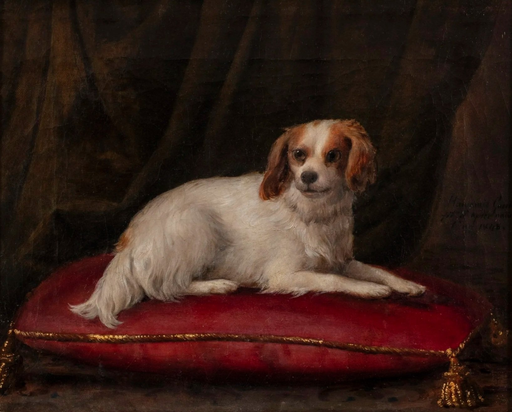 AMANZIA GUÉRILLOT INGANNI