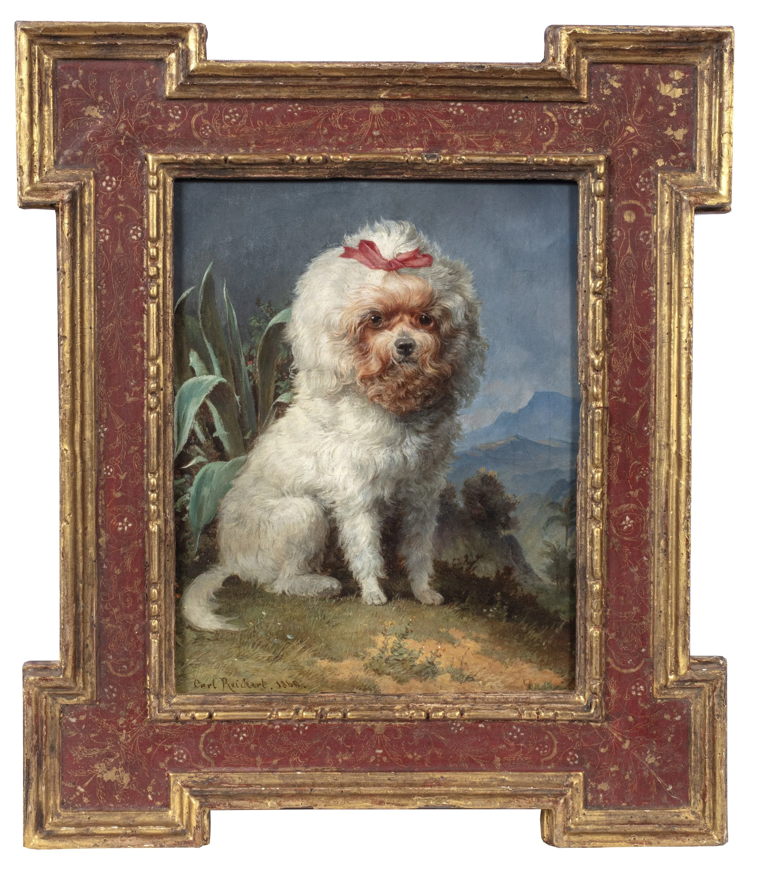 Small white fluffy dog with a brown face and a red bow tied in its hair in an exotic landscape with an aloe plant and palm trees in the background.