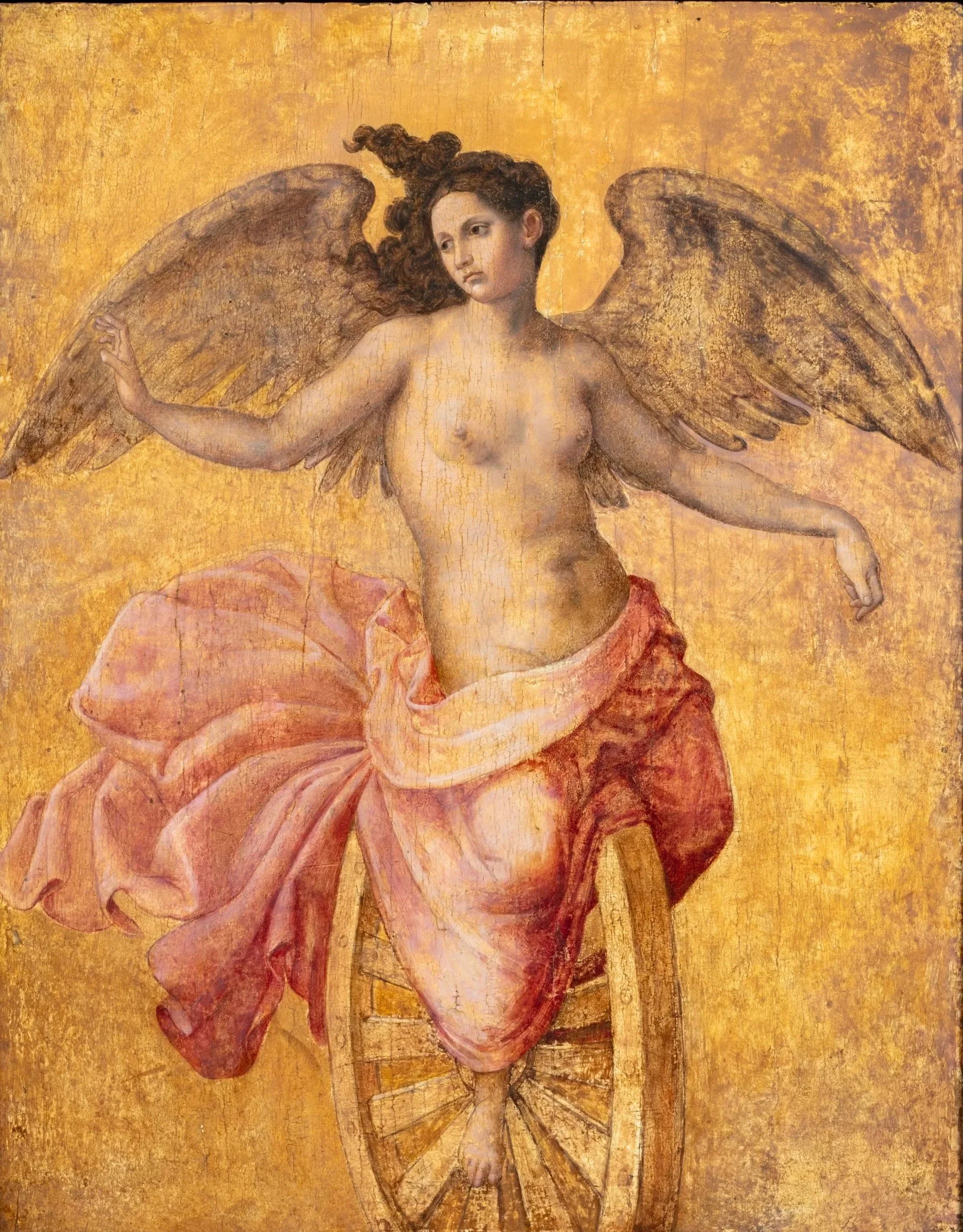 ANDREA DEL MINGA