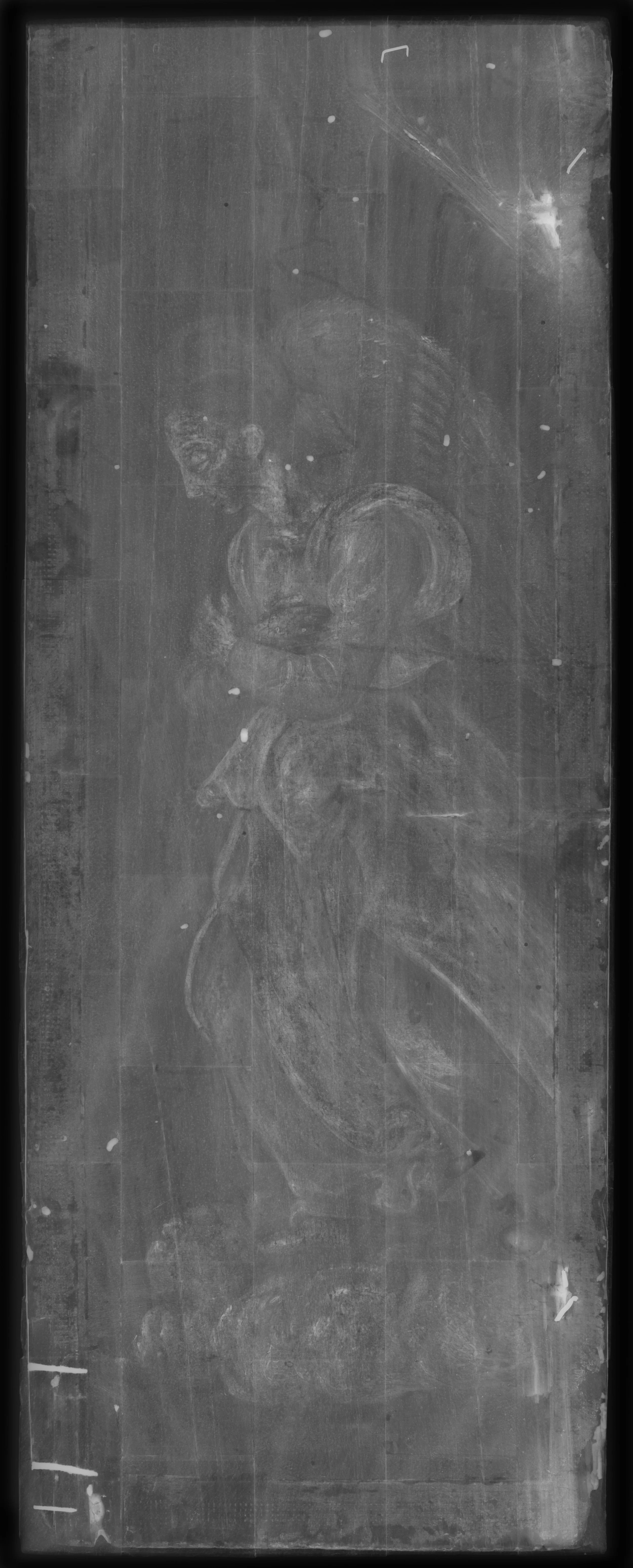 Nelli Angel R X-radiograph 22kv5ma120s.jpg