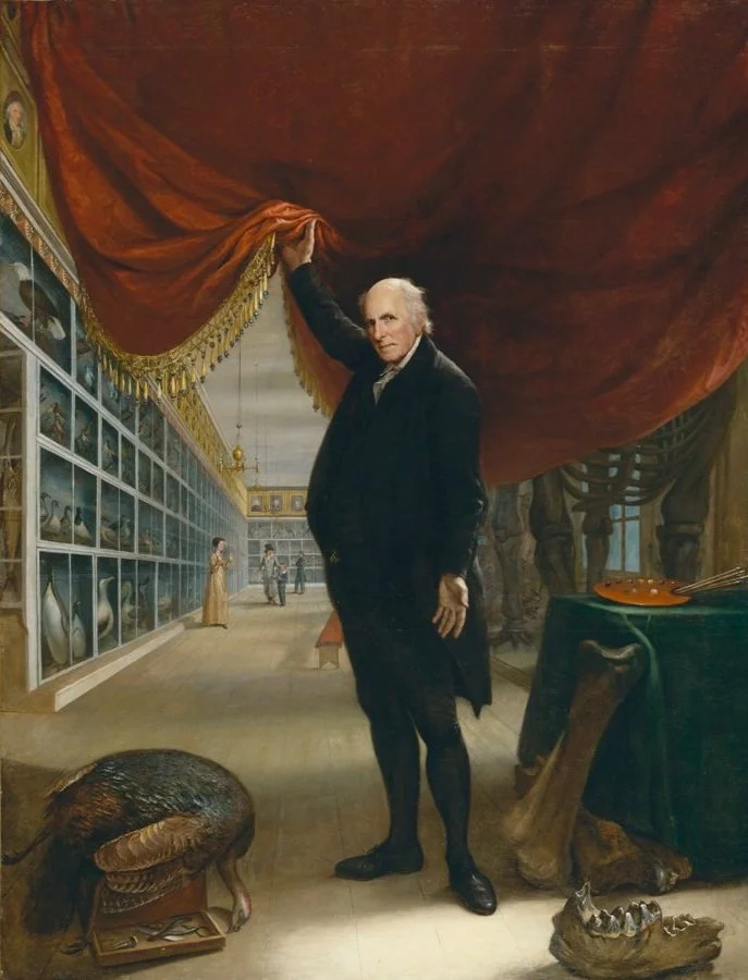 Elderly man lifts a red curtain from where an art gallery is visible.