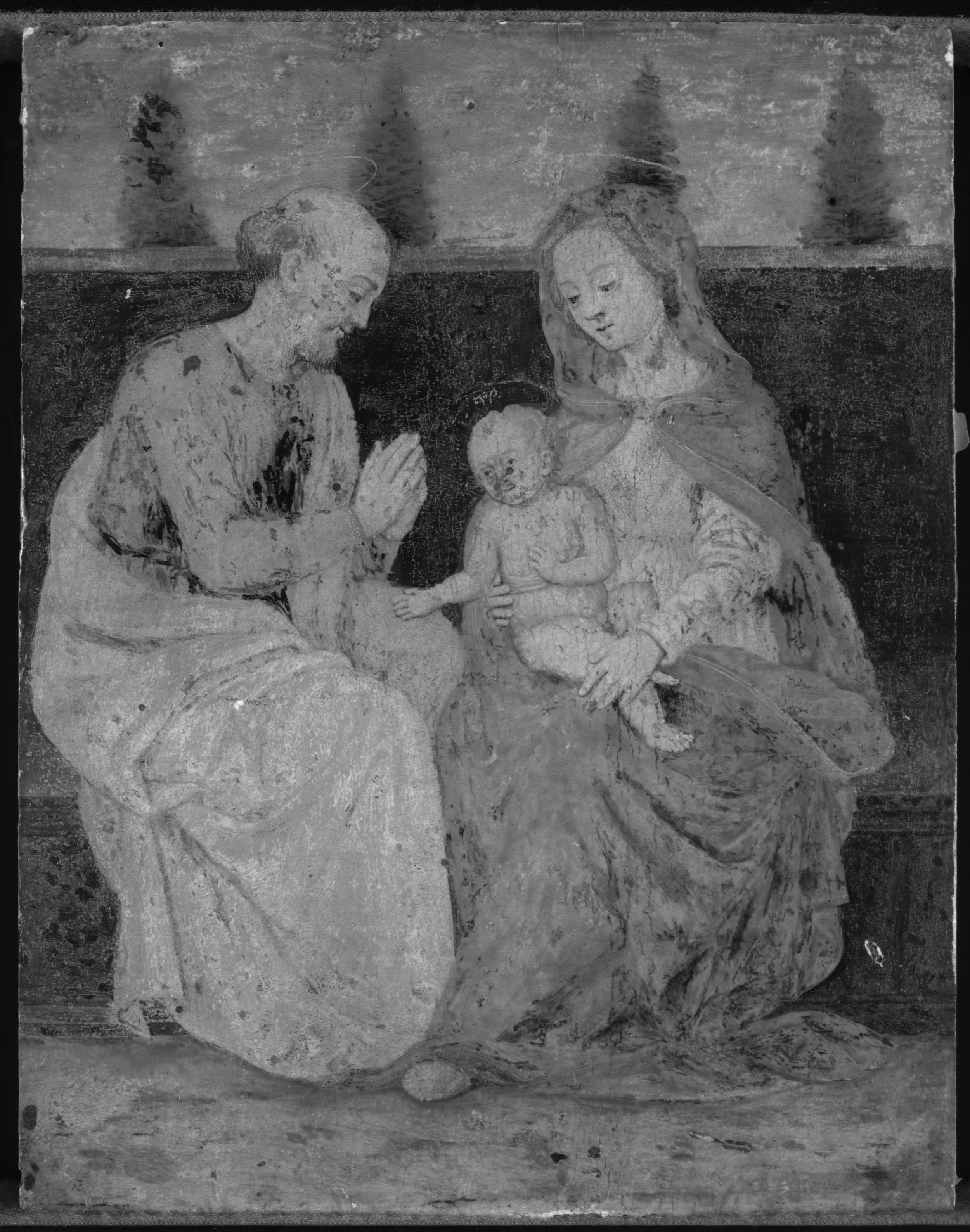 Black and white Infrared reflectogram of the present work.