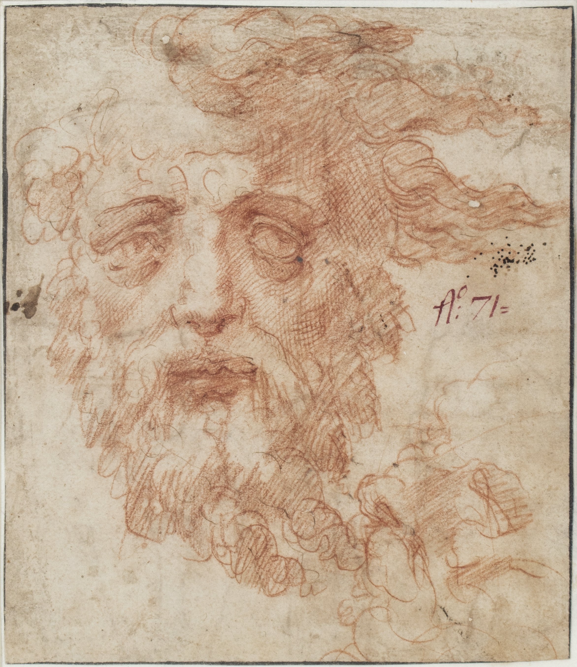 A male face with long hair and beard.