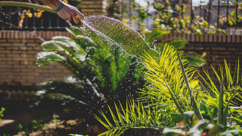 Photo by Irene Dávila on Unsplash