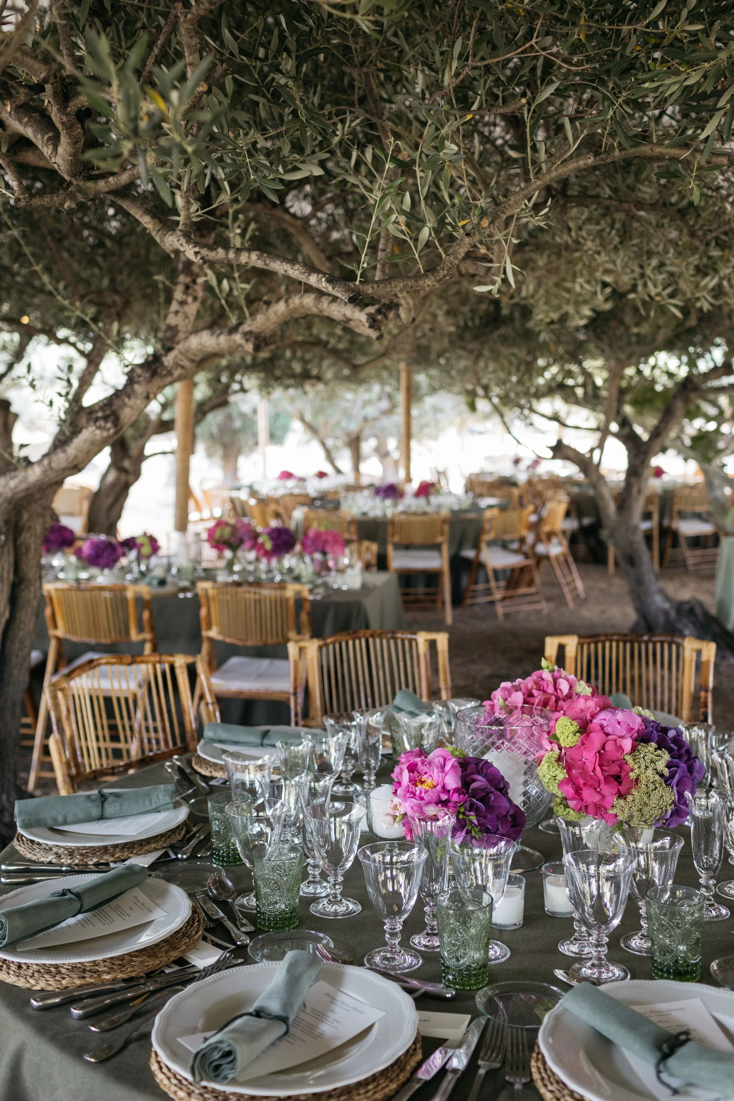 Cadaqués entre hortensias y olivos