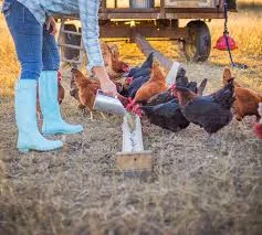 Hills of Milk and Honey  |  Dripping Springs, TX