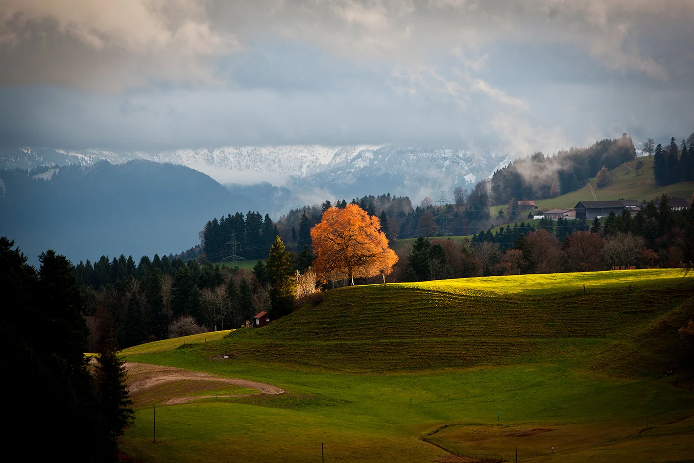 Linde_web010317.jpg