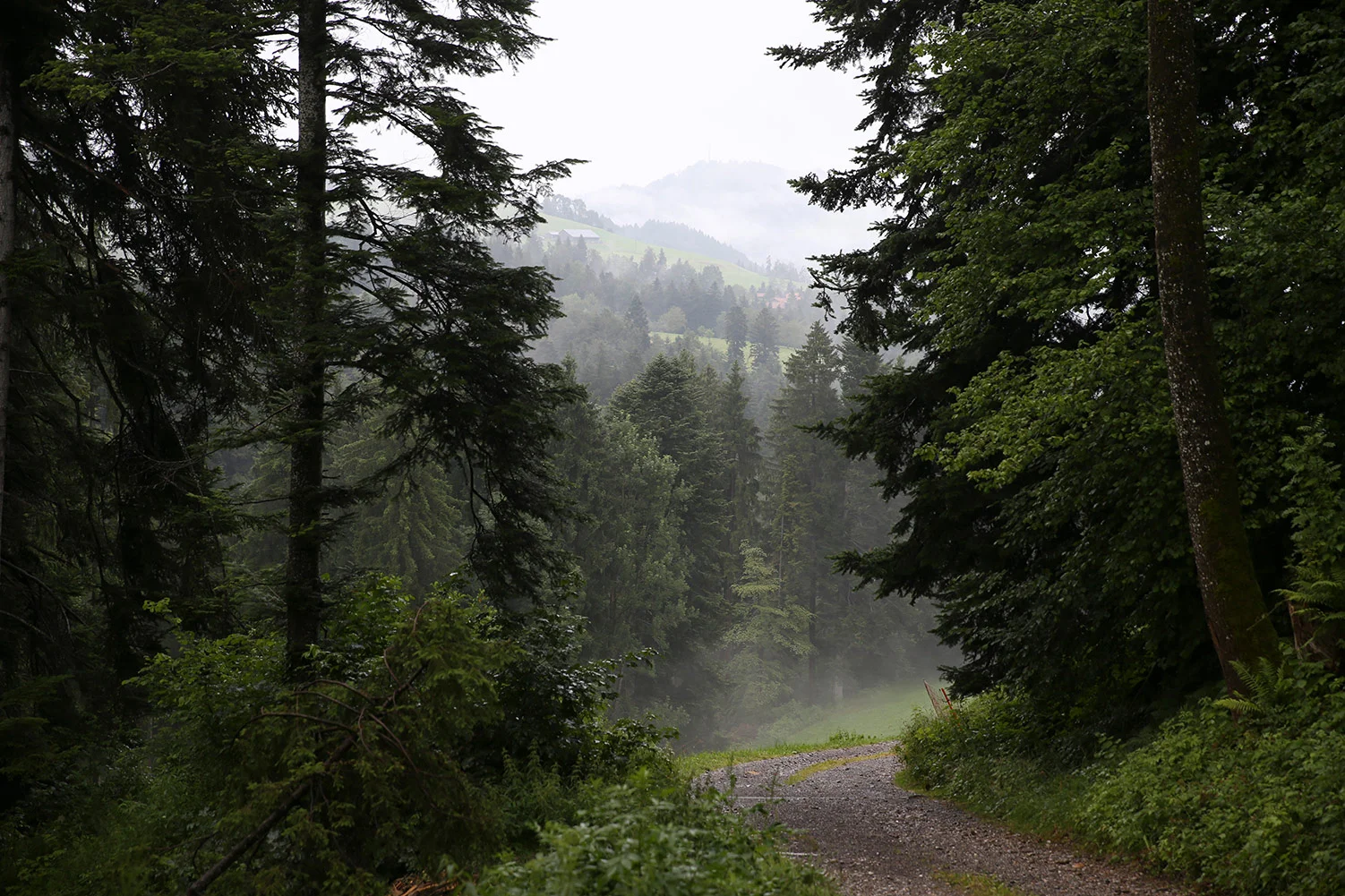 Land02003_web0803.jpg
