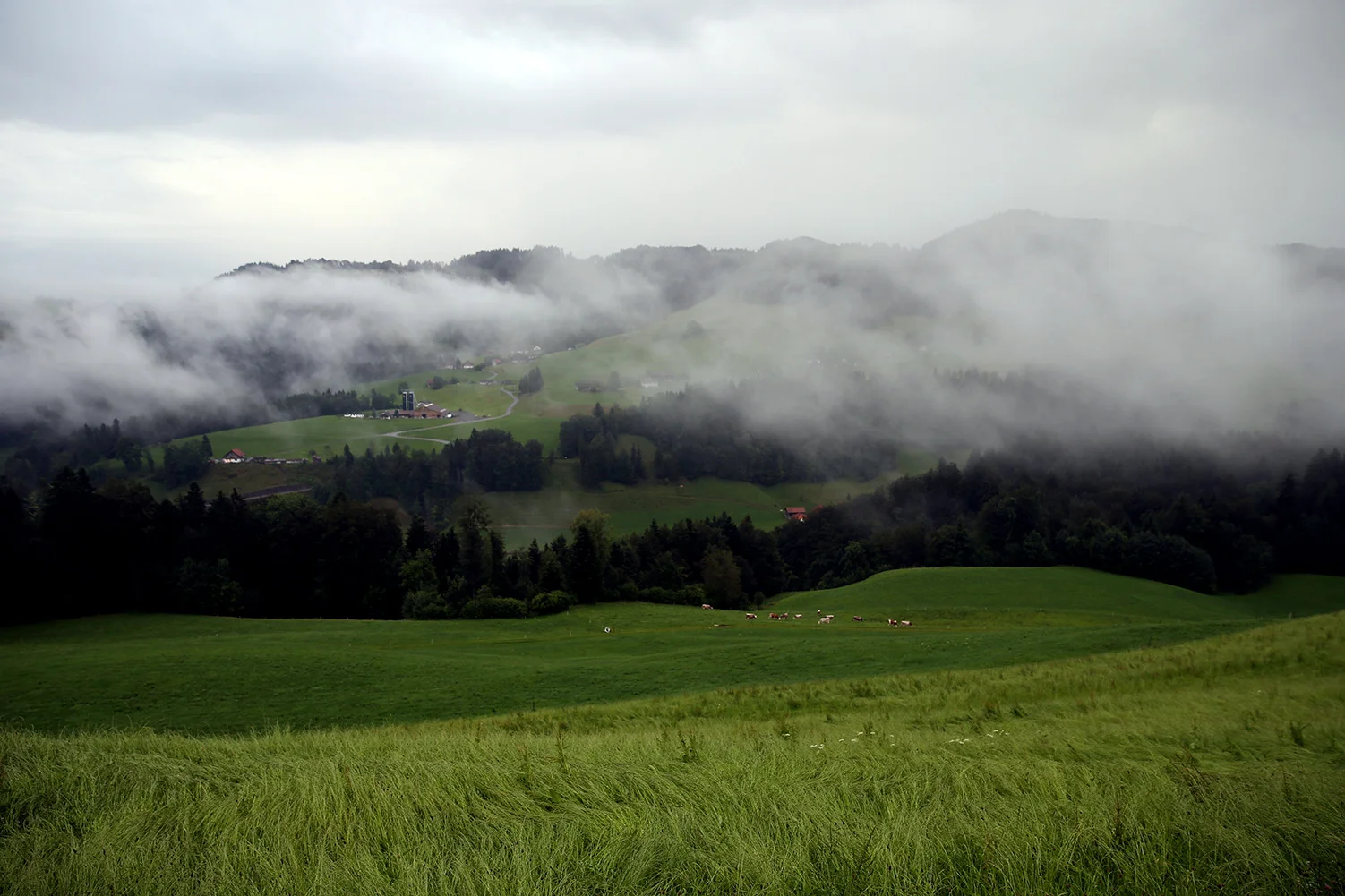 Land02009_web0803.jpg