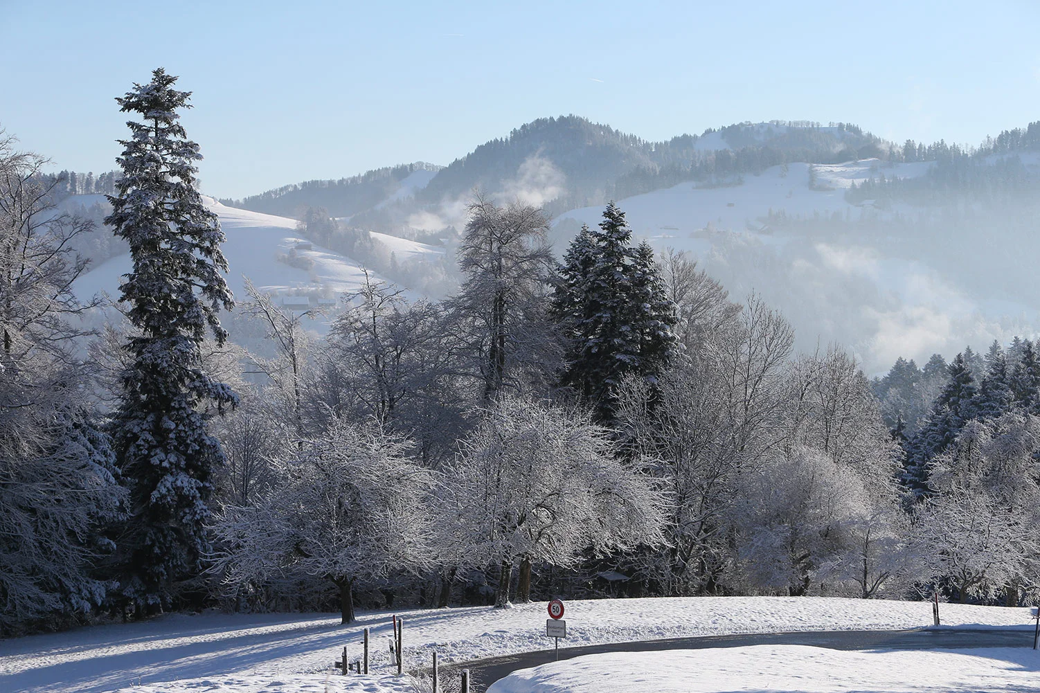 Land02012_web0803.jpg