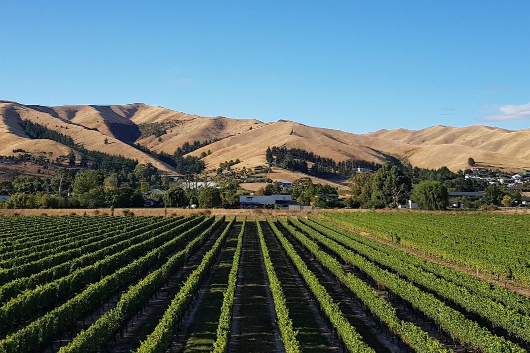 Lawson's Dry Hills