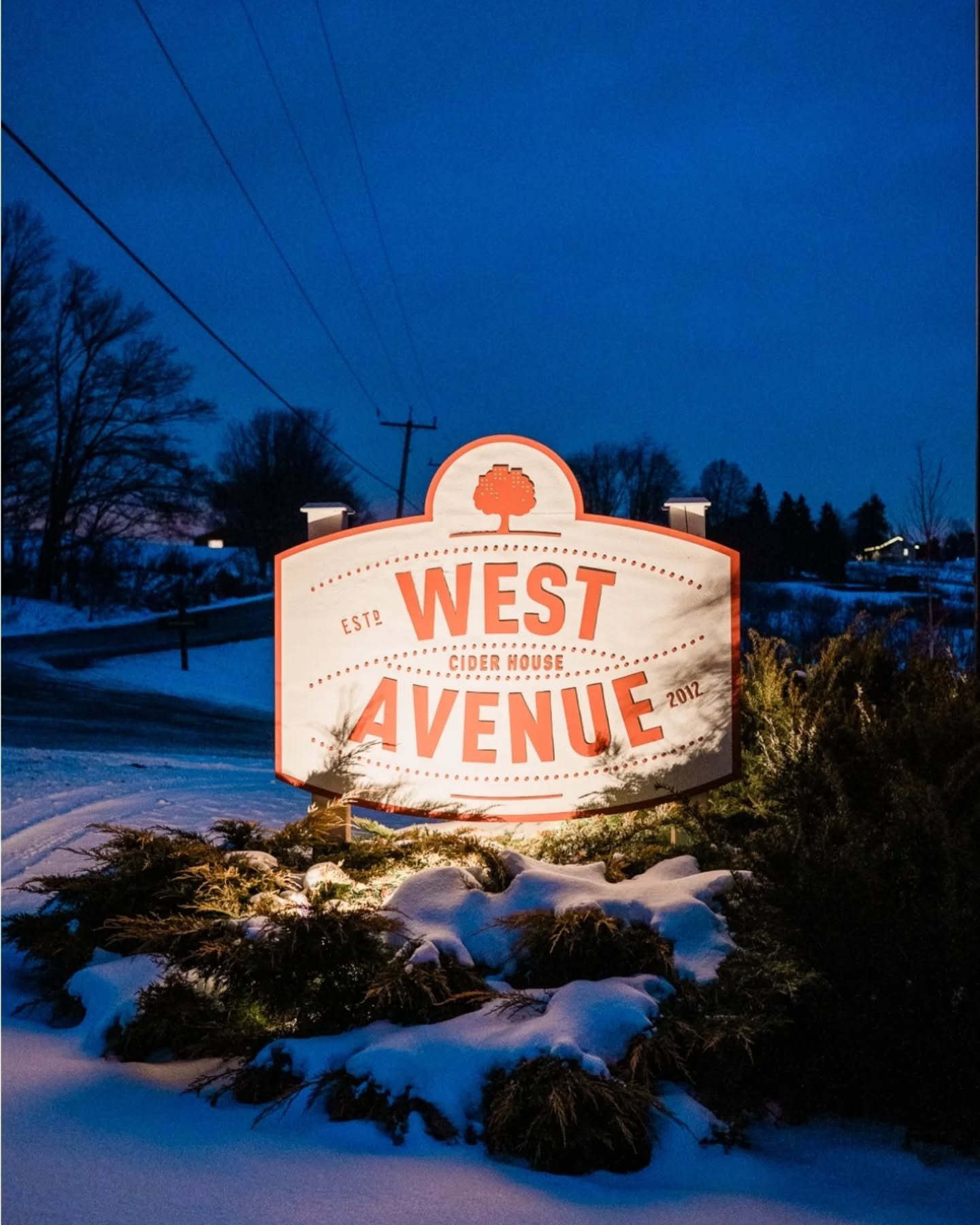 Manifesting this one! ✨ I finally spent the day at @westavenuecider, and it is every bit the bucket list venue I imagined. I had the absolute best time tagging along with my friend from @blind.date.library to capture some candids of the magic at thei