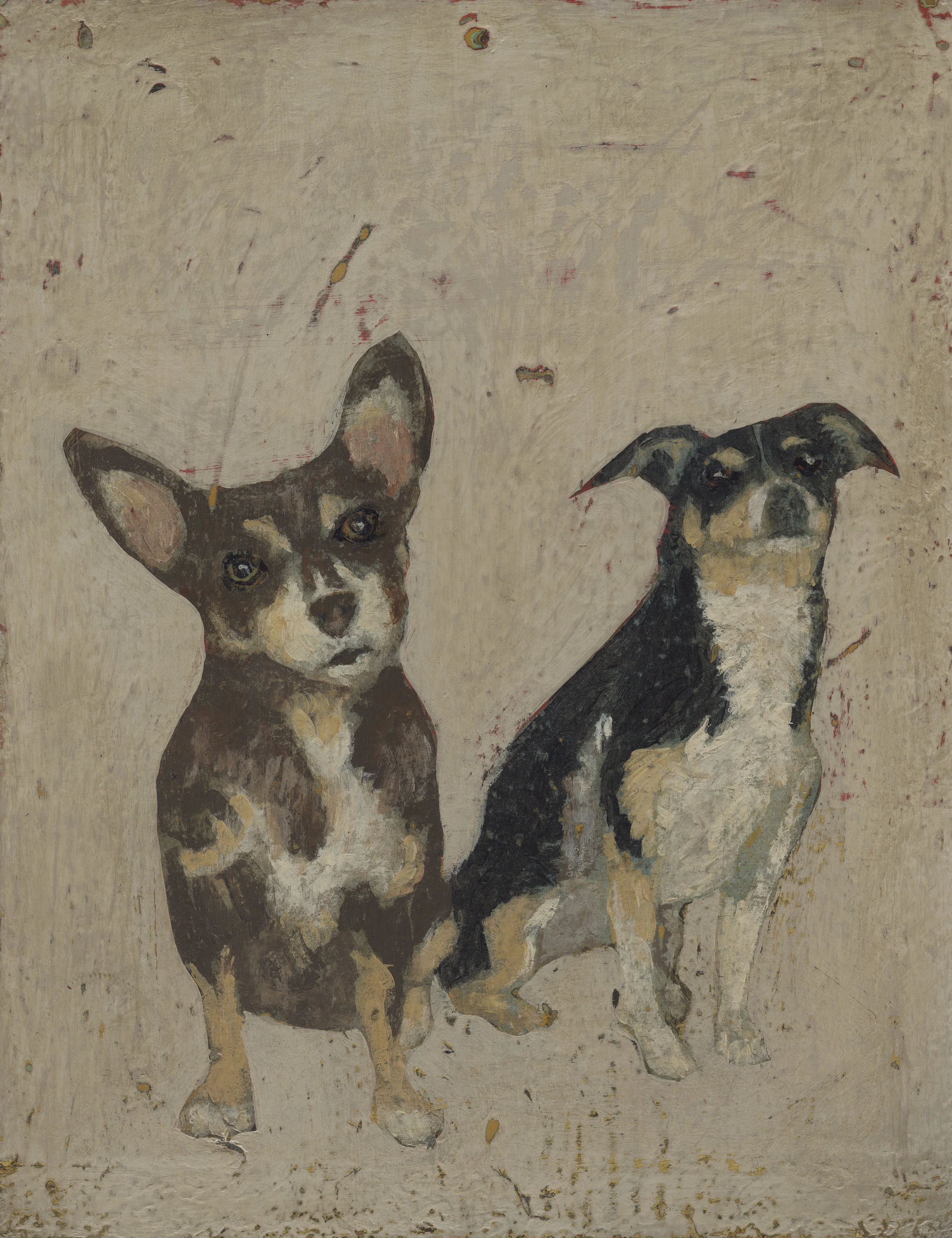 CHULA Y TACO