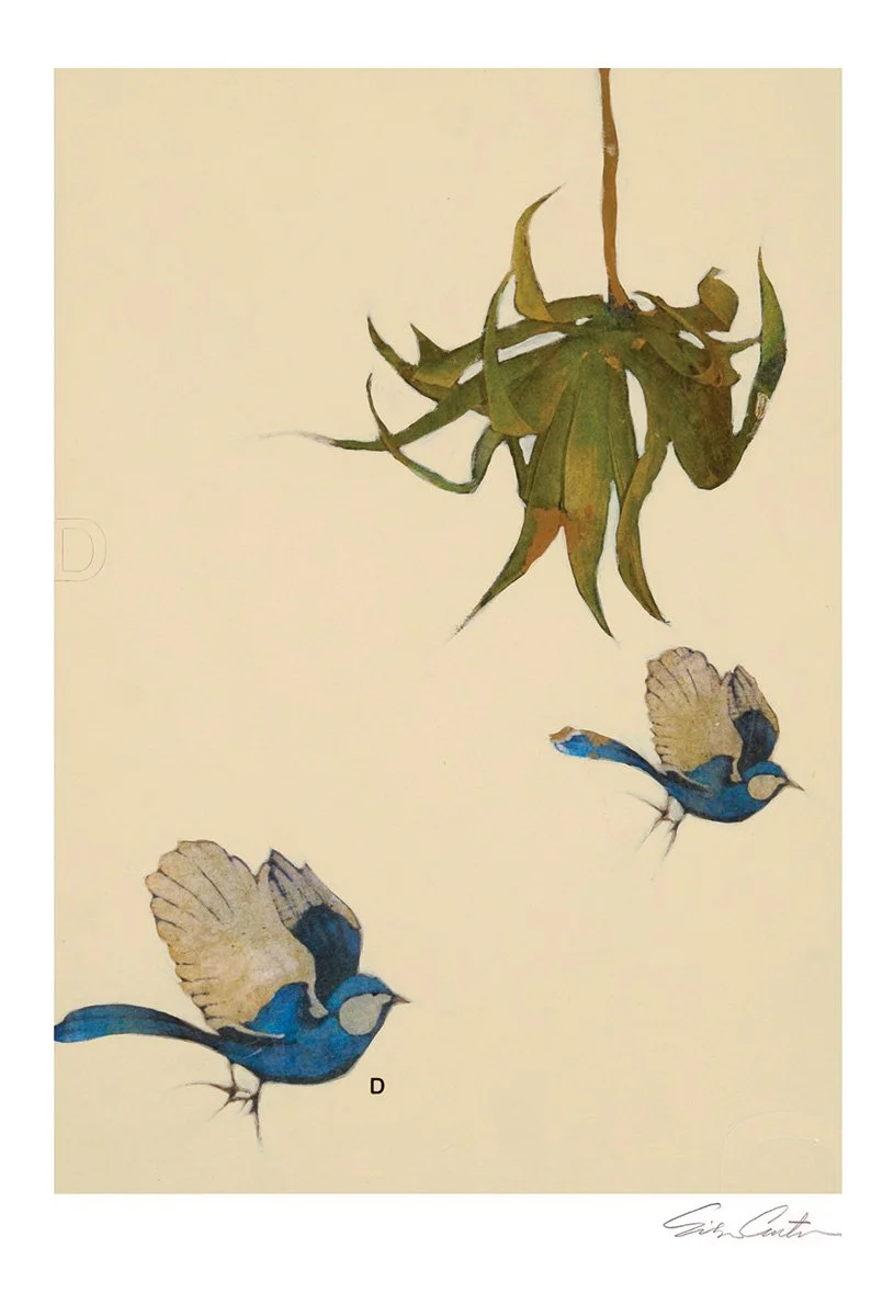 IM A BLUE BIRDWEB.jpg