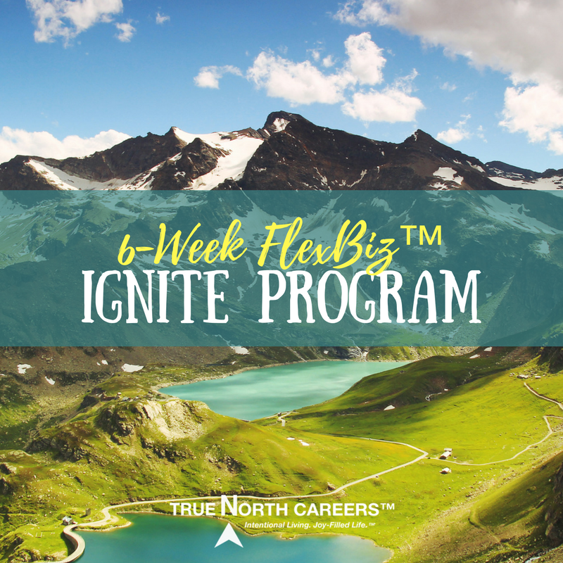 FlexBiz Ignite Program.png
