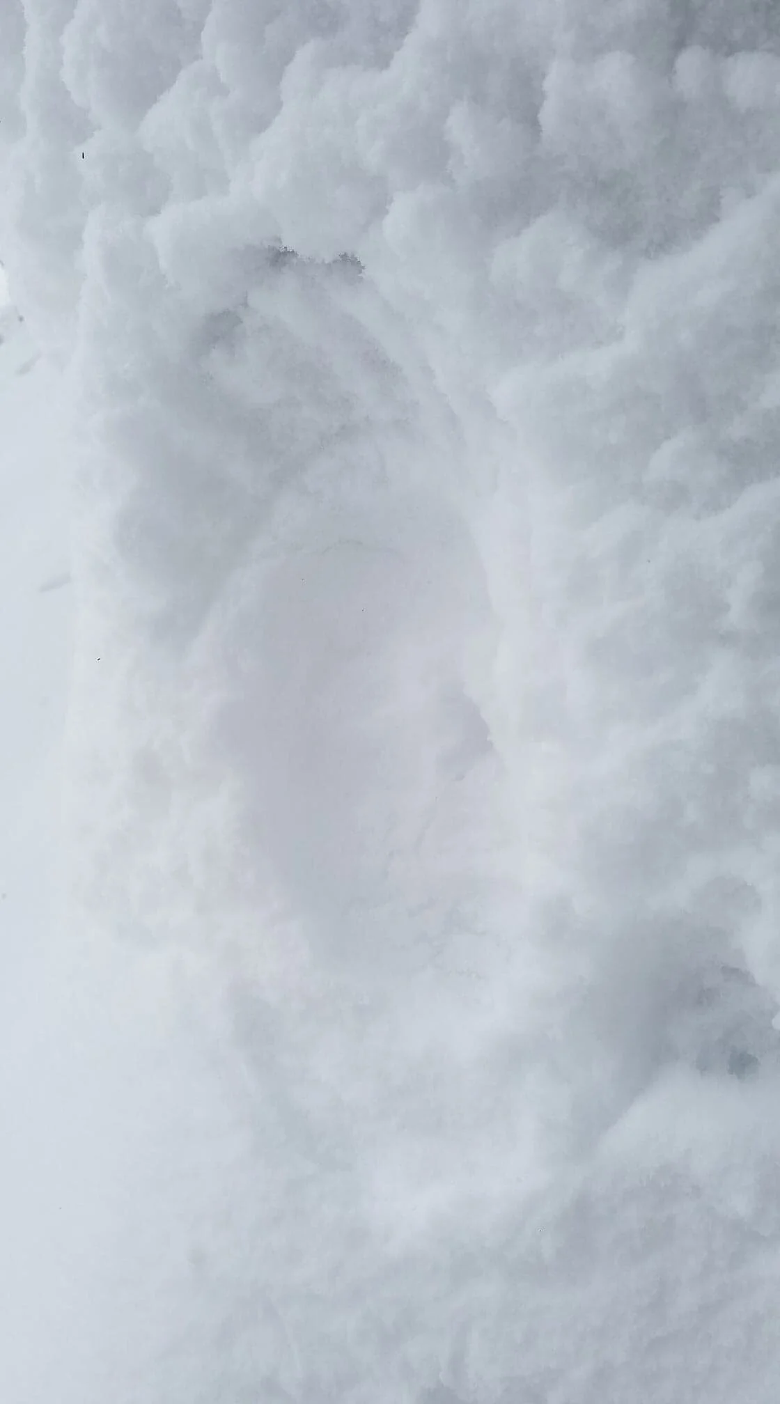 imprints in snow, SP.jpg
