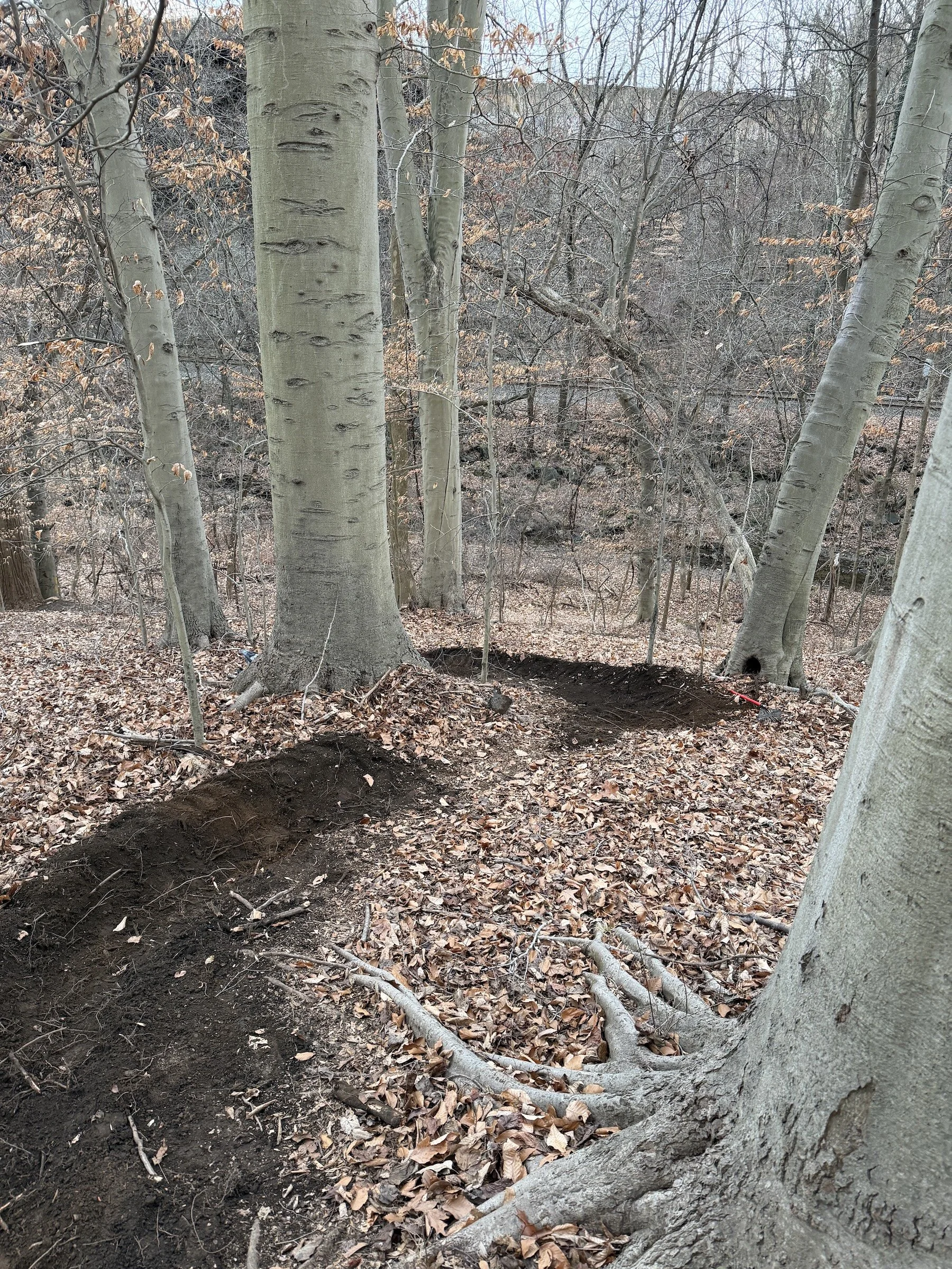 the first S-turns of Turn Track 1